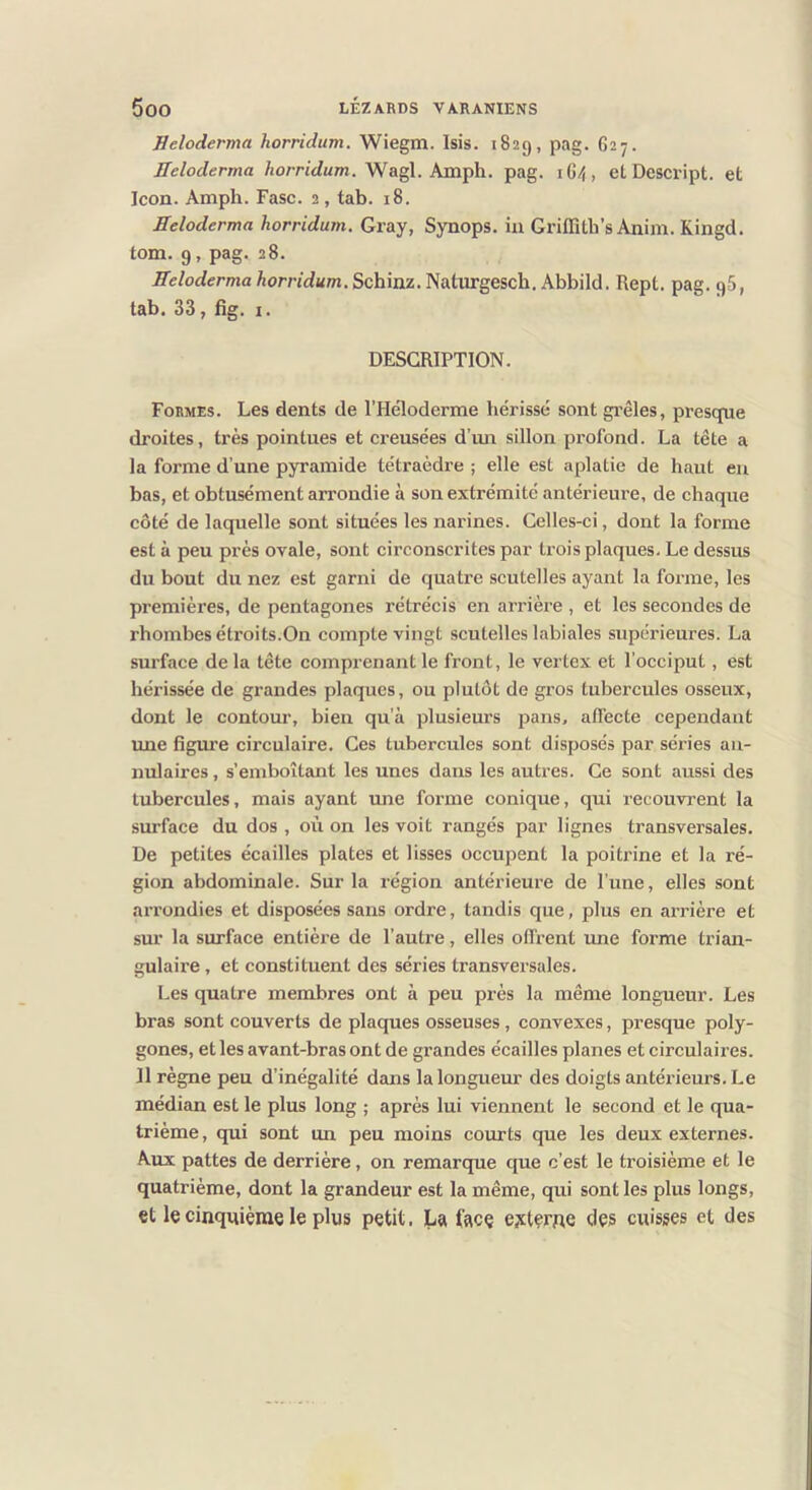 Jieloderma horridum. Wiegm. Isis. 1829, pag. 627. Jleloderma Wagl. Amph. pag. 1G4, et Descript. et Icon. Amph. Fasc. 2, tab. 18. Seloderma horridum. Gray, Synops. ia Griffîth’s Aniari. Kingd. tom. 9, pag. 28. Heloderma horridum. Schinz. Naturgesch. Abbild. Rept. pag. 96, tab. 33, fig. I. DESCRIPTION. Formes. Les dents de l’Héloderme hérissé sont grêles, presque droites, très pointues et ci’eusées d’im sillon profond. La tête a la forme d’une pyramide tétraèdre ; elle est aplatie de haut en bas, et obtusément arrondie à son extrémité antérieure, de chaque côté de laquelle sont situées les narines. Celles-ci, dont la forme est à peu près ovale, sont circonscrites par trois plaques. Le dessus du bout du nez est garni de quatre scutelles ayant la forme, les premières, de pentagones rétrécis en arrière , et les secondes de rhombes étroits.On compte vingt scutelles labiales supérieures. La surface delà tête comprenant le front, le vertex et l'occiput, est hérissée de grandes plaques, ou plutôt de gros tubercules osseux, dont le contour, bien qu’à plusieurs pans, affecte cependant une figure circulaire. Ces tubercules sont disposés par séries an- nulaires , s’emboîtant les unes dans les autres. Ce sont aussi des tubercules, mais ayant une forme conique, qui recouvrent la surface du dos , où on les voit rangés par lignes transversales. De petites écailles plates et lisses occupent la poitrine et la ré- gion abdominale. Sur la région antérieure de l’une, elles sont arrondies et disposées sans ordre, tandis que, plus en arrière et sur la surface entière de l’autre, elles offrent une forme trian- gulaire, et constituent des séries transversales. Les quatre membres ont à peu près la même longueur. Les bras sont couverts de plaques osseuses, convexes, presque poly- gones, et les avant-bras ont de grandes écailles planes et circulaiz’es. Il règne peu d’inégalité dans la longueur des doigts antérieurs. Le médian est le plus long ; après lui viennent le second et le qua- trième, qui sont un peu moins courts que les deux externes. Aux pattes de derrière, on remarque que c’est le troisième et le quatrième, dont la grandeur est la même, qixi sont les plus longs, et le cinquième le plus petit. La face externe des cuisses et des