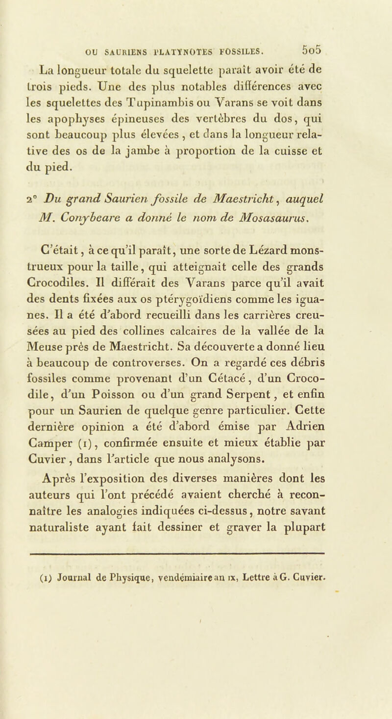 La longueur totale du squelette paraît avoir été de trois pieds. Une des plus notables dilïérences avec les squelettes des Tupinambis ou Varans se voit dans les apophyses épineuses des vertèbres du dos, qui sont beaucoup plus élevées , et dans la longueur rela- tive des os de la jambe à proportion de la cuisse et du pied. 2° Du grand Sauj'ien fossile de Maestricht, auquel M. Conjrbeare a donné le nom de Mosasaurus. C’était, à ce qu’il paraît, une sorte de Lézard mons- trueux pour la taille, qui atteignait celle des grands Crocodiles. Il différait des Varans parce qu’il avait des dents fixées aux os ptérygoïdiens comme les igua- nes. Il a été d’abord recueilli dans les carrières creu- sées au pied des collines calcaires de la vallée de la Meuse prés de Maestricht. Sa découverte a donné lieu à beaucoup de controverses. On a regardé ces débris fossiles comme provenant d’un Cétacé, d’un Croco- dile, d’un Poisson ou d’un grand Serpent, et enfin pour un Saurien de quelque genre particulier. Cette dernière opinion a été d’abord émise par Adrien Camper (i), confirmée ensuite et mieux établie par Cuvier , dans l’article que nous analysons. Après l’exposition des diverses manières dont les auteurs qui l’ont précédé avaient cherché à recon- naître les analogies indiquées ci-dessus, notre savant naturaliste ayant fait dessiner et graver la plupart (i) Journal de Physique, vendémiaircan ix, Lettre àG. Cuvier.