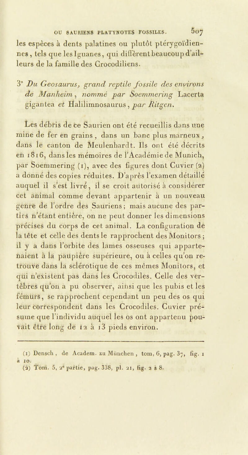 les espèces à dents palatines ou plutôt ptérygoïdien- nes , tels que les Iguanes, qui didèrent beaucoup d’ail- leurs de la famille des Grocodiliens. 3 Du Geosaunis, grand reptile fossile des environs de Manheim, nommé par Soemmerwg Lacerta gigantea et Halilimnosaurus , iîitg'e/î. Les débris de Ce Saurien ont été recueillis dans une raine de fer en grains , dans un banc plus marneux ^ dans le canton de Meulenbardt. Ils ont été décrits en i8i6, dans les mémoires de l’Académie de Munich, par Soemmering (i), avec des figures dont Cuvier (2) a donné des copies réduites. D’après l’examen détaillé auquel il s’est livré, il se croit autorisé à considérer cet animal comme devant appartenir à un nouveau genre de l’ordre des Sauriens ; mais aucune des par- ties n’étant entière, on ne peut donner les dimensions précises du corps de cet animal. La configuration de la tête et celle des dents le rapprochent des Monitors ; il y a dans l’orbite des lames osseuses qui apparte- naient à la paupière supérieure, ou à celles qu’on re- trouve dans la sclérotique de ces mêmes Monitors, et qui n’existent pas dans les Crocodiles. Celle des ver- tèbres qu’on a pu observer, ainsi que les pubis et les fémurs, se rapprochent cependant un peu des os qui leur correspondent dans les Crocodiles. Cuvier pré- sume que l’individu auquel les os ont appartenu pou- vait être long de 12 à i3 pieds environ. (i) Densch , de Academ. zu München , tom, 6, pag. 3^, flg. i à 10.