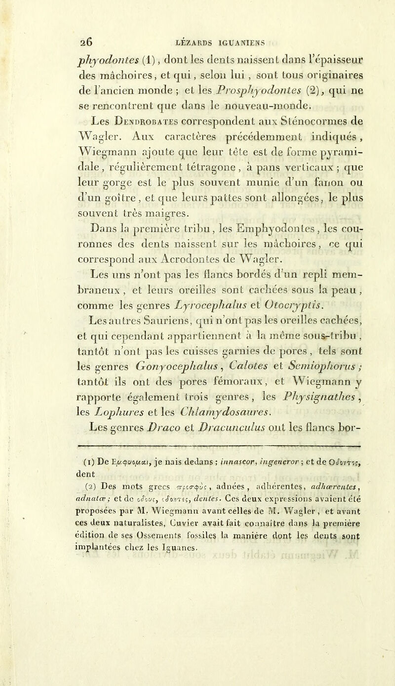 phyodontes (1), dont Jes dents naissent dans l’épaisseur des mâchoires, et qui, selon lui, sont tous originaires de l’ancien monde ; et les Prosphyoclontes (2), qui ne se rencontrent que dans le nouveau-monde. Les Dendrobates correspondent aux Sténocormes de Wagler. Aux caractères précédemment indiqués, Wiegmann ajoute que leur tête est de forme pyrami- dale , régulièrement tétragone , à pans verticaux ; que leur gorge est le plus souvent munie d’un fanon ou d’un goitre , et que leurs pattes sont allongées, le plus souvent très maigres. Dans la première tribu, les Emphyodontes, les cou- ronnes des dents naissent sur les mâchoires, ce qui correspond aux Acrodontes de Wagler. Les uns n’ont pas les flancs bordés d’un repli mem- braneux , et leurs oreilles sont cachées sous la peau , comme les genres Lyrocephalus et Olocryplis. Les autres Sauriens, qui n’ont pas les oreilles cachées, et qui cependant appartiennent à la même sous-tribu , tantôt n’ont, pas les cuisses garnies de pores , tels sont les genres Gonyocephalus , CaloLes et Semiophorus ; tantôt ils ont des pores fémoraux, et Wiegmann y rapporte également t rois genres, les Physignathes, les Lophures et les Chlamydosaures. Les genres Draco et Dracuncidus ont les flancs bor- (1) De E^.du/Ojuai, je nais dedans ; iunascor, ingeneror ; et de O/ovtoc, dent (2) Des mots grecs vrft.o-qù; , adnées , adhérentes, adhcercntes, adnalæ ; et de oJouc, ccTojitjç, dentes. Ces deux expressions avaient été proposées par M. Wiegmann avant celles de M. Wagler, et avant ces deux naturalistes, Cuviev avait fait connaître dans la première édition de ses Ossements fossiles la manière dont les dents sont implantées chez les Iguanes.