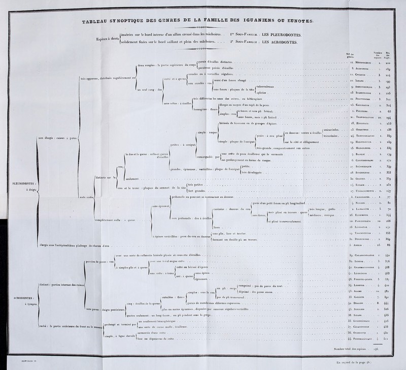 tableau synoptique des genres de la famille des iguaniens ou eumotes. (insérées sur le bord interne d’un sillon creusé dans les mâchoires. . 1 Sous-Famille. : LES PLEURODONTES. solidement fixées sur le bord saillant et plein des mâchoires. ... 2° Sous-Famille : LES ACRODONTES. non élargis : cuisses à pores très-apparens, distribues régulièrement en( /garnie d'écailles distinctes. . ! deux rangées : la partie supérieure du corps j (paraissant privée d'écailles /•annelée ou à verticilles réguliers. / crêté et a qucueJ un seul rang : dos J % crêtes : à écailles (mum u un îauuii «iiunge /tuberculeuses . . . . sans fanon : plaques de la tête ] (.aplaties très différentes les unes des autres, ou hétérogènes ... . /élargis au moyen d'un repli de la peau. ... à fanon et sans pli latéral. . I. Polychrb . . sans fanon, mais à pli latéral homogènes : flancs J {simples : cou J ! simple ; nuque / petites : à occiput/ [ le dos et la queue : celle-ci garnie d’écailles PLEURODONTES : à doigts remarquable par grandes, épineuses, verticillées : plaque de l’occiput < (petite : à cou plissé très-grande, compar; une crête de peau écailleuse qui le surmonte un prolongement en forme de casque ( petite i dessous : ventre à écailles j unicarénées. | tricarénées . /distincte sur le/ j très petites ' cou et le tronc : plaques du sommet de la tête j I préhensile ou pouvant se contourner en dessous. I sans épines et / 'complètement nulle : à queue non préhensile : dos à écailles carénées : dessous du cou < \sans fanon, I [mais plissé en travers : queue j très longue , grêle. \ à épines verticillées : peau du cou en dessous ] (formant un double pli élargis sous 1 antépénultième phalange de chacun d’eux [ percées de pores : cou avec une sorte de collerette latérale plissée et couverte d'écailles. Iavec une trèsl ongue crête . ( crêté ou hérissé d’épines 42- Grammàto sans crête: à tronc j /sans épines [ 41* Léiolepi ^uni : à queue < ( épi \ epmeuses. /distinct : parties internes des cuisses/ | comprimé : pas de pores du tout. ACRODONTES: à tympan { i entuilées : flancs . cinq : écailles de la queue J Iun pli : corps : (déprimé : des pores ; pas de pli transversal sans pores : doigts postérieurs ( (caché : la partie antérieure du front ou le museau ' prolongé et terminé pai \ simple , à ligne dorsale \plus ou moins épineuses , disposées par anneaux réguliers verticillés ^5. Stkllion quatre seulement : un long fanon , ou pli pendant sous la gorge . . , un renflement hémisphérique f une sorte de corne molle , écailleuse .... surmontée d’une crête • lisse ou dépourvue de crête 44* Phrynocépiiài Nns 1 Nombre N°» des deg Senres- especes Nos des PaKes. i. 210 1. 189 12, Cyclurb . . . 3. 214 3. J99 3. 193 1. 225 . 3. 3n 1. 324 2. 63 . 10. =94 2. 253 . . i5. Ophryhsse . . 1. 238 . . 24• Tropidogastre 1. 35g . 2. 269 1. 334 7. Basilic . . . 2. >79 2. 172 1. 34 9 1 - 353 35g a3i . 2. 247 3. Urostropue. . 1. 77 . 4- Norops .... 81 . 5. 70 26. EcPniMOTE. 1. 344 20. Proctotrete . . 10. 266 l6- Léiosaühb. . . 2. 242 29. Trachycvcle . 1. 355 3i. Doryphore. . 1. 36g 5. Anolis . ... 25. 85 39. Chlamydosaüre 1. 44o 32. ISTIORE .... 3. 376 42. Grammatophohe. 4- 468 4i. Léiolepi de . . i- 463 . 46. Fooettk-queoe. 5 537 34* Lophyre 4■ 410 . 43* Agamb . . IO. 481 33 Galéote 7- 3g 1 . 40. Dragon. 8. 444 45- Stellioit . . . . 2. 526 435 425 35. Lyriocephale . . 1 - . 37. CÉRATOPHOHE 1. 433 . 36. Otocrypte . 1 - 430 . 44. PhrynocÉphàle . 4- 5l2 total des espèces. . 1 46. REPTILES IV. En regard de la page /|6.)