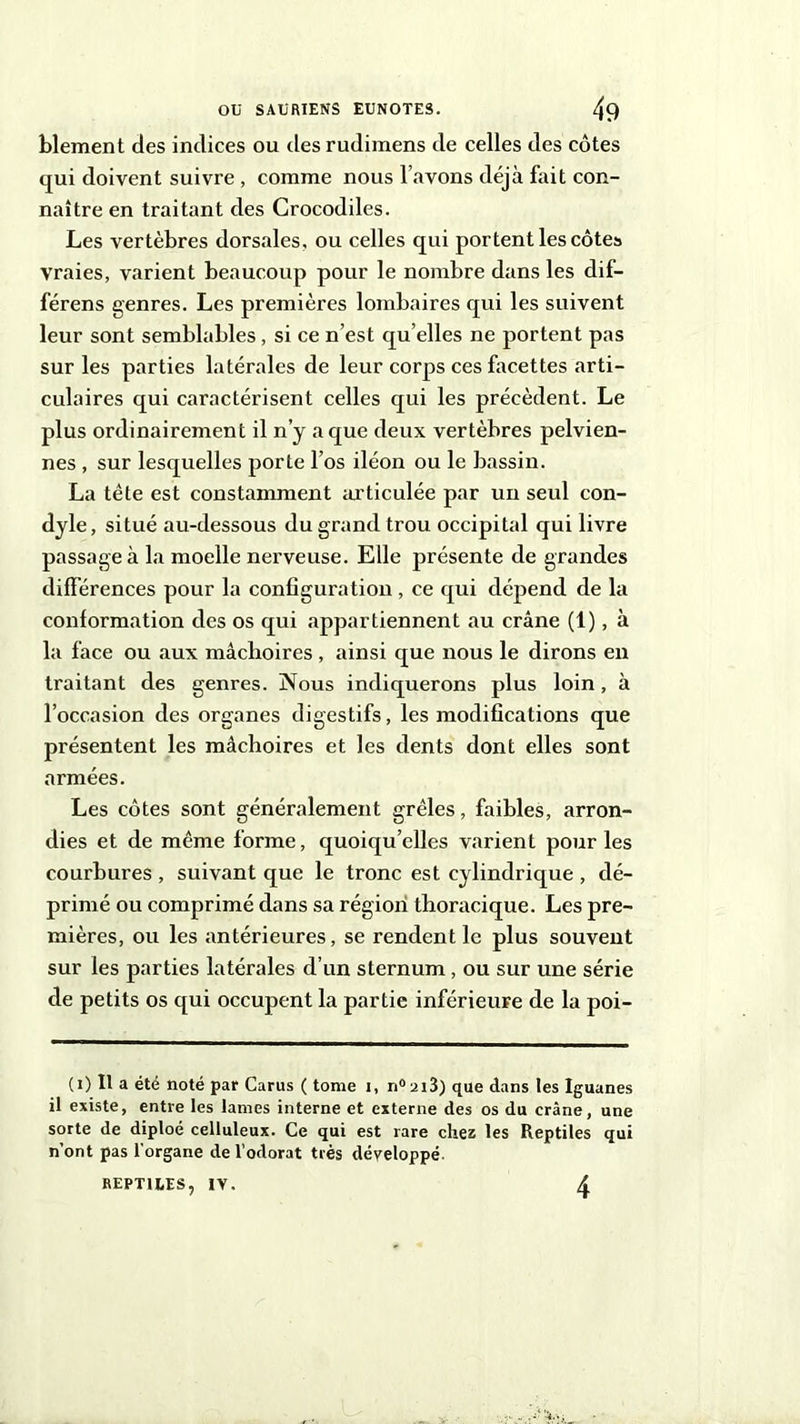 blement des indices ou desrudimens de celles des côtes qui doivent suivre , comme nous l’avons déjà fait con- naître en traitant des Crocodiles. Les vertèbres dorsales, ou celles qui portent les côtes vraies, varient beaucoup pour le nombre dans les dif- férens genres. Les premières lombaires qui les suivent leur sont semblables , si ce n’est qu elles ne portent pas sur les parties latérales de leur corps ces facettes arti- culaires qui caractérisent celles qui les précèdent. Le plus ordinairement il n’y a que deux vertèbres pelvien- nes , sur lesquelles porte l’os iléon ou le bassin. La tête est constamment articulée par un seul con- dyle, situé au-dessous du grand trou occipital qui livre passage à la moelle nerveuse. Elle présente de grandes différences pour la configuration , ce qui dépend de la conformation des os qui appartiennent au crâne (1), à la face ou aux mâchoires , ainsi que nous le dirons en traitant des genres. Nous indiquerons plus loin, à l’occasion des organes digestifs, les modifications que présentent les mâchoires et les dents dont elles sont armées. Les côtes sont généralement grêles, faibles, arron- dies et de même forme, quoiqu’elles varient pour les courbures , suivant que le tronc est cylindrique , dé- primé ou comprimé dans sa région thoracique. Les pre- mières, ou les antérieures, se rendent le plus souvent sur les parties latérales d’un sternum , ou sur une série de petits os qui occupent la partie inférieure de la poi- (i) Il a été noté par Carus ( tome i, n° ai3) que dans les Iguanes il existe, entre les lames interne et externe des os du crâne, une sorte de diploé celluleux. Ce qui est rare chez les Reptiles qui n’ont pas l'organe de l’odorat très développé. REPTILES, IV. 4