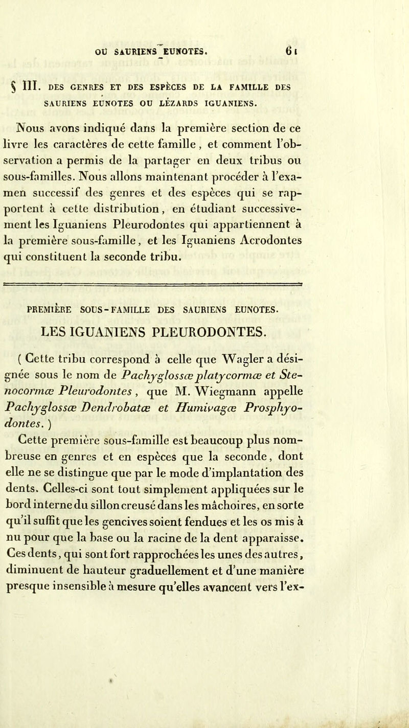 S ni. DES GENRES ET DES ESPÈCES DE LA FAMILLE DES SAURIENS EUNOTES OU LEZARDS IGUANIENS. Nous avons indiqué dans la première section de ce livre les caractères de cette famille , et comment l’ob- servation a permis de la partager en deux tribus ou sous-familles. Nous allons maintenant procéder à l’exa- men successif des genres et des espèces qui se rap- portent à cette distribution, en étudiant successive- ment les Iguaniens Pleurodontes qui appartiennent à la première sous-famille, et les Iguaniens Acrodontes qui constituent la seconde tribu. PREMIÈRE SOUS-FAMILLE DES SAURIENS EUNOTES. LES IGUANIENS PLEURODONTES. ( Cette tribu correspond à celle que Wagler a dési- gnée sous le nom de Pachyglossœ platycormœ et Ste- nocormœ Pleurodontes , que M. Wiegmann appelle Pachyglossœ Dendrohatœ et Humivagœ Prosphyo- dontes. ) Cette première sous-famille est beaucoup plus nom- breuse en genres et en espèces que la seconde, dont elle ne se distingue que par le mode d’implantation des dents. Celles-ci sont tout simplement appliquées sur le bord interne du sillon creusé dans les mâchoires, en sorte qu’il suffit que les gencives soient fendues et les os mis à nu pour que la base ou la racine de la dent apparaisse. Ces dents, qui sont fort rapprochées les unes des autres, diminuent de hauteur graduellement et d’une manière presque insensible à mesure qu’elles avancent vers l’ex-