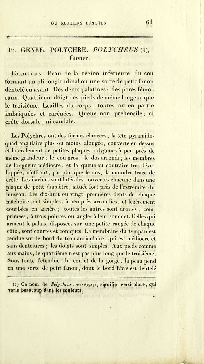 I. GENRE. POLYCHRE. POLYCHRUS (1), Cuvier. Caractères. Peau de la région inférieure du cou formant un pli longitudinal ou une sorte de petit fanon dentelé en avant. Des dents palatines ; des pores fémo raux. Quatrième doigt des pieds de même longeur que le troisième. Écailles du corps, toutes ou en partie imbriquées et carénées. Queue non préhensile; ni crête dorsale , ni caudale. Les Polychres ont des formes élancées, la tête pyramido- quadrangulaire plus ou moins alongée, couverte en dessus et latéralement de petites plaques polygones à peu près de même grandeur ; le cou gros ; le dos arrondi ; les membres de longueur médiocre , et la queue au contraire très déve- loppée, n’offrant, pas plus que le dos, la moindre trace de crête. Les narines sont latérales, ouvertes chacune dans une plaque de petit diamètre, située fort près de l’extrémité du museau. Les dix-huit ou vingt premières dents de chaque mâchoire sont simples, à peu près arrondies, et légèrement courbées en arrière ; toutes les autres sont droites , com- primées , à trois pointes ou angles à leur sommet. Celles qui arment le palais, disposées sur une petite rangée de chaque côté , sont courtes et coniques. La membrane du tympan est tendue sur le bord du trou auriculaire, qui est médiocre et sans dentelures ; les doigts sont simples. Aux pieds comme aux mains, le quatrième n’est pas plus long que le troisième. Sous toute l’étendue du cou et de la gorge, la peau pend en une sorte de petit fanon, dont le bord libre est dentelé (i) Ce nom de Polychrus, , signifie versicQlore, qui varie |3eaqcou|» dans les çoqleurs.