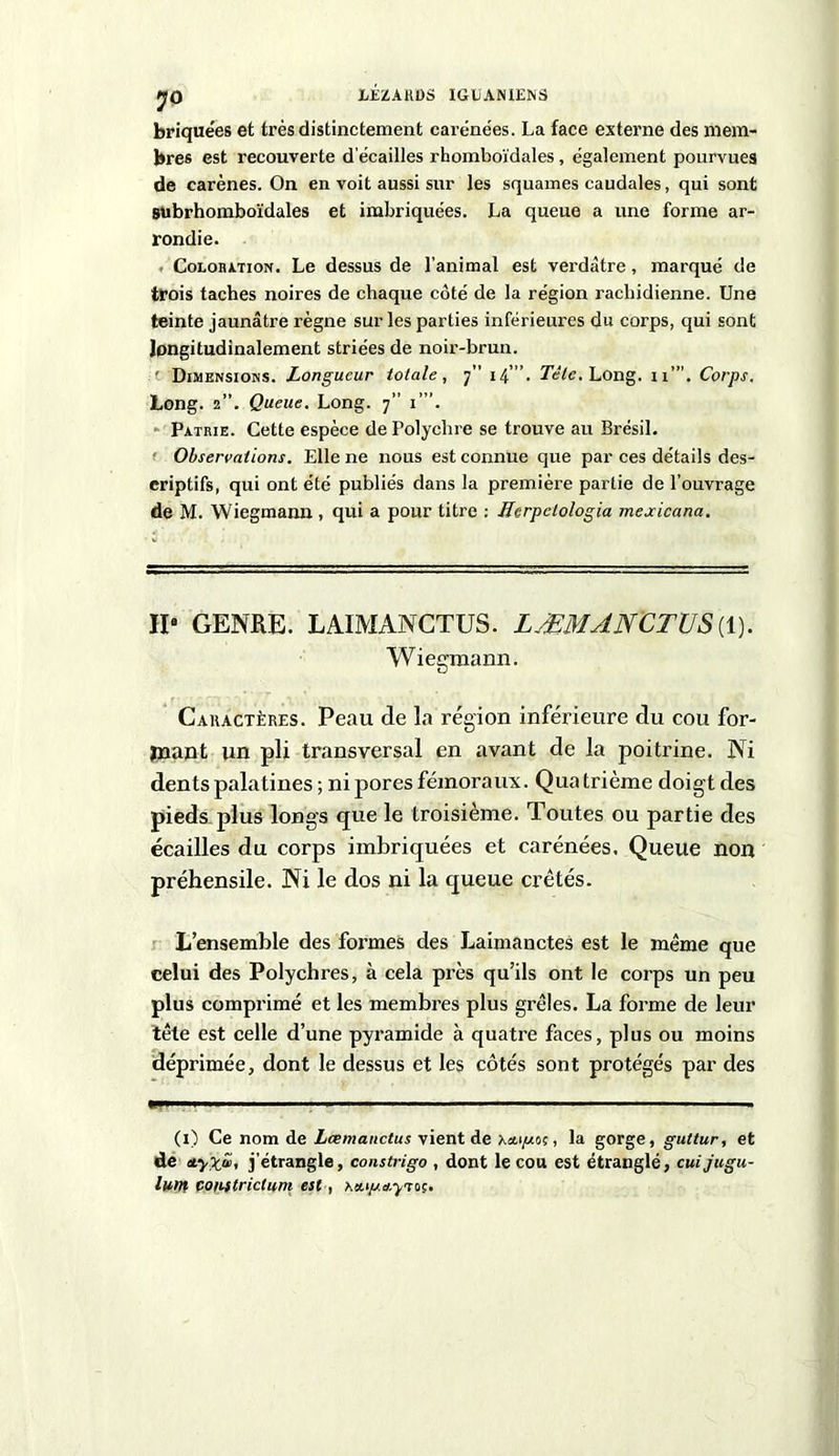 I/ÉZARÜS IGUArUEMS •JO briquées et très distinctement carénées. La face externe des mem- bres est recouverte d écailles rhomboïdales, également pourvues de carènes. On en voit aussi sur les squames caudales, qui sont subrhomboïdales et imbriquées. La queue a une forme ar- rondie. Coloration. Le dessus de l’animal est verdâtre, marqué de trois taches noires de chaque côté de la région rachidienne. Une teinte jaunâtre règne sur les parties inférieures du corps, qui sont longitudinalement striées de noir-brun. ' Dimensions. Longueur totale, 7” 14”’. Tête, Long. 11”’. Corps. Long. 2”. Queue. Long. 7” i”’. Patrie. Cette espèce de Polychre se trouve au Brésil. Observations. Elle ne nous est connue que par ces détails des- criptifs, qui ont été publiés dans la première partie de l’ouvrage de M. Wiegmann , qui a pour titre : Herpelologia mexicana. IP GENRE. LAIMANCTUS. LÆMANCTXJS (1). Wiegmann. Caractères. Peau de la région inférieure du cou for- mant un pli transversal en avant de la poitrine. Ni dents palatines ; ni pores fémoraux. Qua trième doigt des pieds plus longs que le troisième. Toutes ou partie des écailles du corps imbriquées et carénées. Queue non préhensile. Ni le dos ni la queue crêtés. L’ensemble des formes des Laimanctes est le même que celui des Polychres, à cela près qu’ils ont le corps un peu plus comprimé et les membres plus grêles. La forme de leur tête est celle d’une pyramide à quatre faces, plus ou moins déprimée, dont le dessus et les côtés sont protégés par des «■» ii .1 ii — ■■ (i) Ce nom de Lcemanctus vient de \u.i/uoç, la gorge, guttur, et de etyxjZ, j’étrangle, constrigo , dont le cou est étranglé, cui jugu- lant Comtriclum est ,