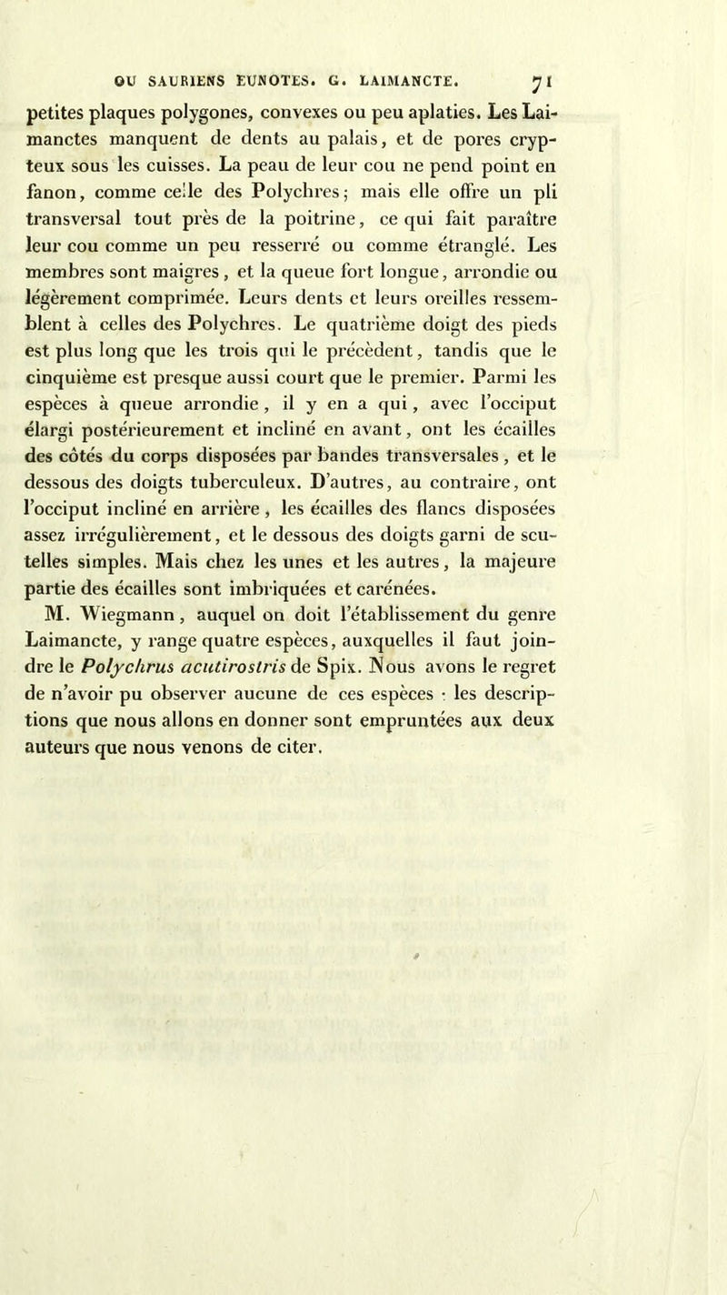 petites plaques polygones, convexes ou peu aplaties. Les Lai- manctes manquent de dents au palais, et de pores cryp- teux sous les cuisses. La peau de leur cou ne pend point en fanon, comme celle des Polychres; mais elle offre un pli transversal tout près de la poitrine, ce qui fait paraître leur cou comme un peu resserré ou comme étranglé. Les membres sont maigres , et la queue fort longue, arrondie ou légèrement comprimée. Leurs dents et leurs oreilles ressem- blent à celles des Polychres. Le quatrième doigt des pieds est plus long que les trois qui le précèdent, tandis que le cinquième est presque aussi court que le premier. Parmi les espèces à queue arrondie, il y en a qui, avec l’occiput élargi postérieurement et incliné en avant, ont les écailles des côtés du corps disposées par bandes transversales , et le dessous des doigts tuberculeux. D’autres, au contraire, ont l’occiput incliné en arrière , les écailles des flancs disposées assez irrégulièrement, et le dessous des doigts garni de scu- telles simples. Mais chez les unes et les autres, la majeure partie des écailles sont imbriquées et carénées. M. Wiegmann, auquel on doit l’établissement du genre Laimancte, y range quatre espèces, auxquelles il faut join- dre le Polychrus acutirostris de Spix. Nous avons le regret de n’avoir pu observer aucune de ces espèces • les descrip- tions que nous allons en donner sont empruntées aux deux auteurs que nous venons de citer.