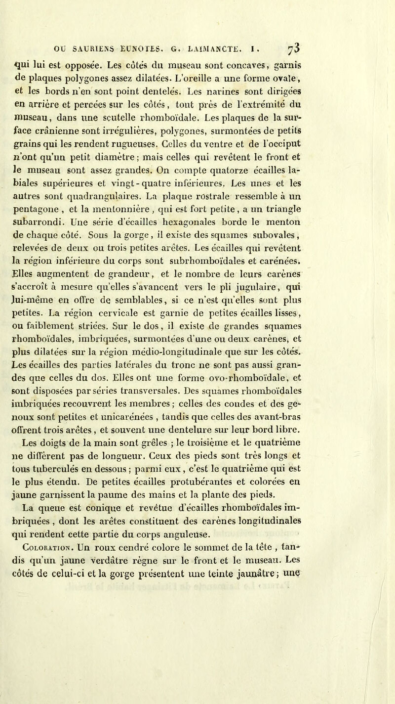 qui lui est opposée. Les cotés du museau sont concaves, garnis de plaques polygones assez dilatées. L’oreille a une forme ovale, et les bords n’en sont point dentelés. Les narines sont dirigées en arrière et percées sur les côtés, tout près de l’extrémité du museau, dans une scutelle rhomboïdale. Les plaques de la sur- face crânienne sont irrégulières, polygones, surmontées de petits grains qui les rendent rugueuses. Celles du ventre et de l’occiput n’ont qu’un petit diamètre ; mais celles qui revêtent le front et le museau sont assez grandes. On compte quatorze écailles la- biales supérieures et vingt-quatre inférieures. Les unes et les autres sont quadrangulaires. La plaque rostrale ressemble à un pentagone , et la mentonnière , qui est fort petite, a un triangle subarrondi. Une série d’écaillcs hexagonales borde le menton de chaque côté. Sous la gorge, il existe des squames subovales, relevées de deux ou trois petites arêtes. Les écailles qui revêtent la région inférieure du corps sont subrhomboïdales et carénées. Elles augmentent de grandeur, et le nombre de leurs carènes s’accroît à mesure quelles s’avancent vers le pli jugulaire, qui lui-même en offre de semblables, si ce n’est quelles sont plus petites. La région cervicale est garnie de petites écailles lisses, ou faiblement striées. Sur le dos, il existe de grandes squames rhomboïdales, imbriquées, surmontées d’une ou deux carènes, et plus dilatées sur la région médio-longitudinale que sur les côtés. Les écailles des parties latérales du tronc ne sont pas aussi gran- des que celles du dos. Elles ont une forme ovo-rhomboïdale, et sont disposées par séries transversales. Des squames rhomboïdales imbriquées recouvrent les membres ; celles des coudes et des ge- noux sont petites et unicarénées , tandis que celles des avant-bras offrent trois arêtes, et souvent une dentelure sur leur bord libre. Les doigts de la main sont grêles ; le troisième et le quatrième ne diffèrent pas de longueur. Ceux des pieds sont très longs et tous tuberculés en dessous ; parmi eux, c’est le quatrième qui est le plus étendu. De petites écailles protubérantes et colorées en jaune garnissent la paume des mains et la plante des pieds. La queue est conique et revêtue d’écailles rhomboïdales im- briquées , dont les arêtes constituent des carènes longitudinales qui rendent cette partie du corps anguleuse. Coloration. Un roux cendré colore le sommet de la tête , tan- dis qu’un jaune verdâtre règne sur le front et le museau. Les côtés de celui-ci et la gorge présentent une teinte jaunâtre; une