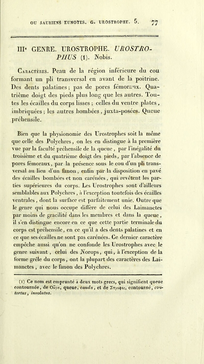 III» GENRE. UROSTROPHE. UROSTRO- PHUS (1). Nobis. Caractères. Peau de la région inférieure du cou formant un pli transversal en avant de la poitrine. Des dents palatines ; pas de pores fémoraux. Qua- trième doigt des pieds plus long que les autres. Tou- tes les écailles du corps lisses ; celles du ventre plates , imbriquées ; les autres bombées , juxta-posées. Queue préhensile. Bien que la physionomie des Urostrophes soit la même que celle des Polychres, on les en distingue à la première vue par la faculté préhensile de la queue , par l’inégalité du troisième et du quatrième doigt des pieds, par l’absence de pores fémoraux, par la présence sous le cou d’un pli trans- versal au lieu d’un fanon , enfin par la disposition en pavé des écailles bombées et non carénées, qui revêtent les par- ties supérieures du corps. Les Urostrophes sont d’ailleurs semblables aux Polychres , à l’exception toutefois des écailles ventrales , dont la surface est parfaitement unie. Outre que le genre qui nous occupe diffère de celui des Laimanctes par moins de gracilité dans les membres et dans la queue , il s’en distingue encore en ce que cette partie terminale du corps est préhensile, en ce qu’il a des délits palatines et en ce que ses écailles ne sont pas carénées. Ce dernier caractère empêche aussi qu’on ne confonde les Urostrophes avec le genre suivant , celui des Norops, qui, à l’exception de la forme grêle du corps, ont la plupart des caractères des Lai- manctes , avec le fanon des Polychres. (I) Ce nom est emprunté à deux mots grecs, qui signifient queue contournée, de Oûça, queue, cauda, et de STfo<$o;, contourné, cou- tortus, involutus.