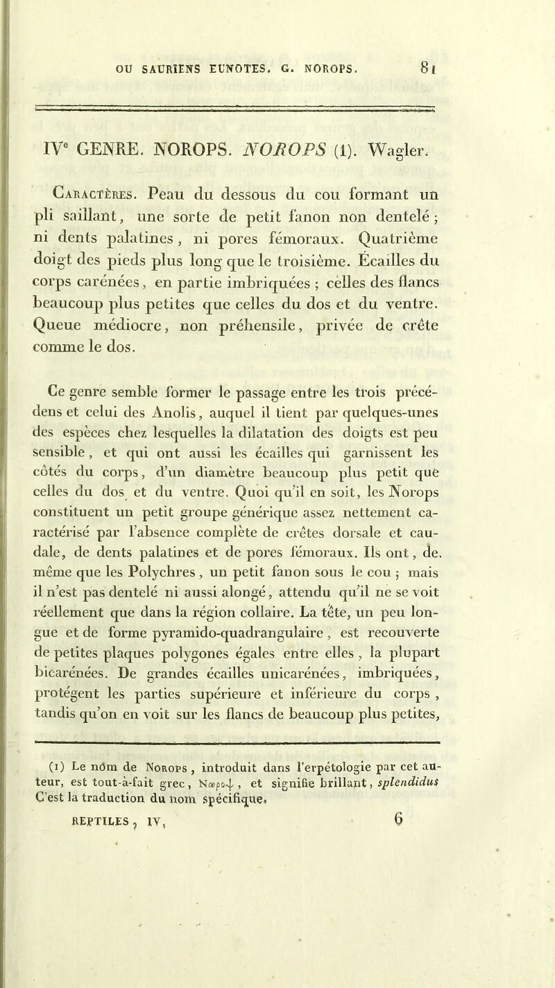 IVe GENRE. NOROPS. NOROPS (1). Wagler. Caractères. Peau du dessous du cou formant un pli saillant, une sorte de petit fanon non dentelé; ni dents palatines , ni pores fémoraux. Quatrième doigt des pieds plus long que le troisième. Écadles du corps carénées, en partie imbriquées ; celles des flancs beaucoup plus petites que celles du dos et du ventre. Queue médiocre, non préhensile, privée de crête comme le dos. Ce genre semble former le passage entre les trois précé- dens et celui des Anolis, auquel il tient par quelques-unes des espèces chez lesquelles la dilatation des doigts est peu sensible, et qui ont aussi les écailles qui garnissent les côtés du corps, d’un diamètre beaucoup plus petit que celles du dos et du ventre. Quoi qu’il en soit, les Norops constituent un petit groupe générique assez nettement ca- ractérisé par l’absence complète de crêtes dorsale et cau- dale, de dents palatines et de pores fémoraux. Ils ont, de. même que les Polychres , un petit fanon sous le cou ; mais il n’est pas dentelé ni aussi alongé, attendu qu’il ne se voit réellement que dans la région collaire. La tête, un peu lon- gue et de forme pyramido-quadrangulaire , est recouverte de petites plaques polygones égales entre elles , la plupart bicarénées. De grandes écailles unicarénées, imbriquées, protègent les parties supérieure et inférieure du corps , tandis qu’on en voit sur les flancs de beaucoup plus petites, (1) Le nOra de Norops , introduit dans l'erpétologie par cet au- teur, est tout-à-fait grec, Naipoq , et signifie brillant, splendidus C'est la traduction du nom spécifique. REPTILES, IV, 6