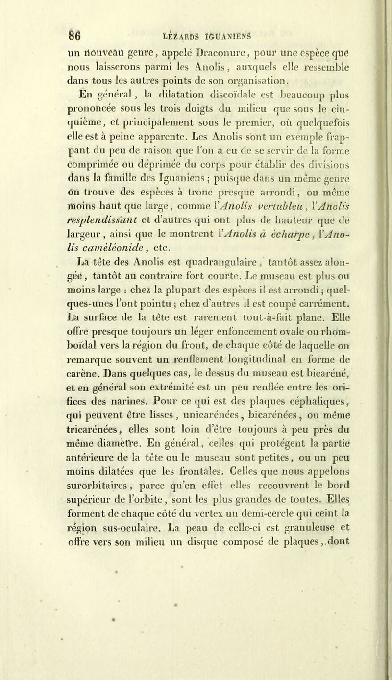 un rt ou veau genre, appelé Braconure, pour une espèce que nous laisserons parmi les Anolis, auxquels elle ressemble dans tous les autres points de son organisation. En général, la dilatation discoïdale est beaucoup plus prononcée sous les trois doigts du milieu que sous le cin- quième, et principalement sous le premier, où quelquefois elle est à peine apparente. Les Anolis sont un exemple frap- pant du peu de raison que l’on a eu de se servir de la forme comprimée ou déprimée du corps pour établir des divisions dans la famille des Iguaniens ; puisque dans un même genre on trouve des espèces à tronc presque arrondi, ou même moins haut que large, comme V Anolis vertubleu , Y Anolis resplendissant et d’autres qui ont plus de hauteur que de largeur , ainsi que le montrent Y Anolis à écharpe , Y Ano- lis catnéléonide, etc. La tête des Anolis est quadrangulaire , tantôt assez alon- gée, tantôt au contraire fort courte. Le museau est plus ou moins large : chez la plupart des espèces il est arrondi ; quel- ques-unes l’ont pointu ; chez d’autres il est coupé carrément. La surface de la tête est rarement tout-à-fait plane. Elle offre presque toujours un léger enfoncement ovale ou rhom- boïdal vers la région du front, de chaque côté de laquelle on remarque souvent un renflement longitudinal en forme de carène. Dans quelques cas, le dessus du museau est bicaréné, et en général son extrémité est un peu renflée entre les ori- fices des narines. Pour ce qui est des plaques céphaliques, qui peuvent être lisses, unicarénées, bicarénées, ou même tricarénées, elles sont loin d’être toujours à peu près du même diamètre. En général, celles qui protègent la partie antérieure de la tête ou le museau sont petites, ou un peu moins dilatées que les frontales. Celles que nous appelons surorbitaires , parce qu’en effet elles recouvrent le bord supérieur de l’orbite, sont les plus grandes de toutes. Elles forment de chaque côté du vertex un demi-cercle qui ceint la région sus-oculaire. La peau de celle-ci est granuleuse et offre vers son milieu un disque composé de plaques,.dont