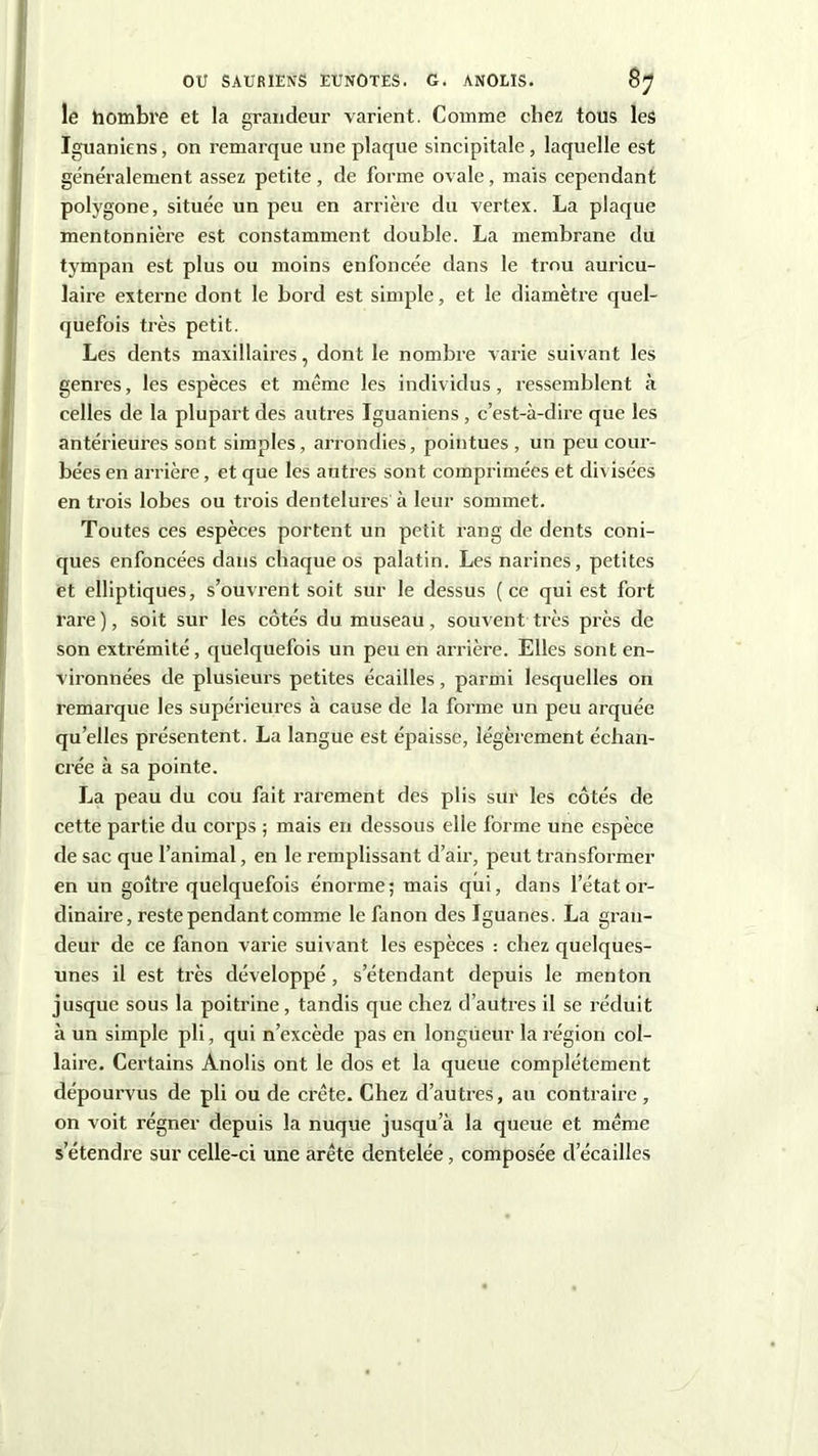 le hombre et la grandeur varient. Comme chez tous les Iguaniens, on remarque une plaque sincipitale, laquelle est généralement assez petite , de forme ovale, mais cependant polygone, située un peu en arrière du vertex. La plaque mentonnière est constamment double. La membrane du tympan est plus ou moins enfoncée dans le trou auricu- laire externe dont le bord est simple, et le diamètre quel- quefois très petit. Les dents maxillaires, dont le nombre varie suivant les genres, les espèces et même les individus, ressemblent à celles de la plupart des autres Iguaniens , c’est-à-dire que les antérieures sont simples, arrondies, pointues , un peu cour- bées en arrière, et que les autres sont comprimées et divisées en trois lobes ou trois dentelures à leur sommet. Toutes ces espèces portent un petit rang de dents coni- ques enfoncées dans chaque os palatin. Les narines, petites et elliptiques, s’ouvrent soit sur le dessus (ce qui est fort rare ), soit sur les côtés du museau, souvent très près de son extrémité, quelquefois un peu en arrière. Elles sont en- vironnées de plusieurs petites écailles, parmi lesquelles 011 remarque les supérieures à cause de la forme un peu arquée quelles présentent. La langue est épaisse, légèrement échan- crée à sa pointe. La peau du cou fait rarement des plis sur les côtés de cette partie du corps ; mais en dessous elle forme une espèce de sac que l’animal, en le remplissant d’air, peut transformer en un goitre quelquefois énorme; mais qui, dans l’état or- dinaire, reste pendant comme le Linon des Iguanes. La gran- deur de ce fanon varie suivant les espèces : chez quelques- unes il est très développé, s’étendant depuis le menton jusque sous la poitrine, tandis que chez d’autres il se réduit à un simple pli, qui n’excède pas en longueur la région col- laire. Certains Anolis ont le dos et la queue complètement dépourvus de pli ou de crête. Chez d’autres, au contraire, on voit régner depuis la nuque jusqu’à la queue et même s’étendre sur celle-ci une arête dentelée, composée decailles