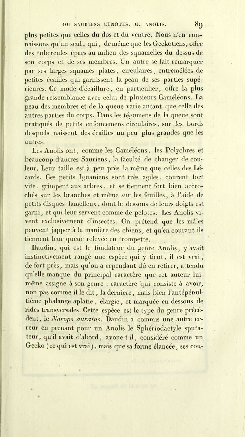 plus petites que celles du dos et du ventre. Nous n’en con- naissons qu’un seul, qui, de même que les Geckotiens, offre des tubercules épars au milieu des squamelles du dessus de son corps et de ses membres. Un autre se fait remarquer par ses larges squames plates, circulaires, entremêlées de petites écailles qui garnissent la peau de ses parties supé- rieures. Ce mode decaillure, en particulier, offre la plus grande ressemblance avec celui de plusieurs Caméléons. La peau des membres et de la queue varie autant que celle des autres parties du corps. Dans les tégumens de la queue sont pratiqués de petits enfoncemens circulaires, sur les bords desquels naissent des écailles un peu plus grandes que les autres. Les Anolis ont, comme les Caméléons, les Polychres et beaucoup d’autres Sauriens, la faculté de changer de cou- leur. Leur taille est à peu près la même que celles des Lé- zards. Ces petits Iguaniens sont très agiles, courent fort vite, grimpent aux arbres , et se tiennent fort bien accro- chés sur les branches et même sur les feuilles, à l’aide de petits disques lamelleux, dont le dessous de leurs doigts est garni, et qui leur servent comme de pelotes. Les Anolis vi- vent exclusivement d’insectes. On prétend que les mâles peuvent japper à la manière des chiens, et qu’en courant ils tiennent leur queue relevée en trompette. Daudin, qui est le fondateur du genre Anolis, y avait instinctivement rangé une espèce qui y tient, il est vrai, de fort près, mais qu’on a cependant dû en retirer, attendu quelle manque du principal caractère que cet auteur lui- même assigne à son genre : caractère qui consiste à avoir, non pas comme il le dit, la dernière, mais bien l’antépénul- tième phalange aplatie , élargie , et marquée en dessous de rides transversales. Cette espèce est le type du genre précé- dent, le JSorops auratus. Daudin a commis une autre er- reur en prenant pour un Anolis le Sphériodactyle sputa- teur, qu’il avait d’abord, avoue-t-il, considéré comme un Gecko (ce qui est vrai), mais que sa forme élancée, ses cou-