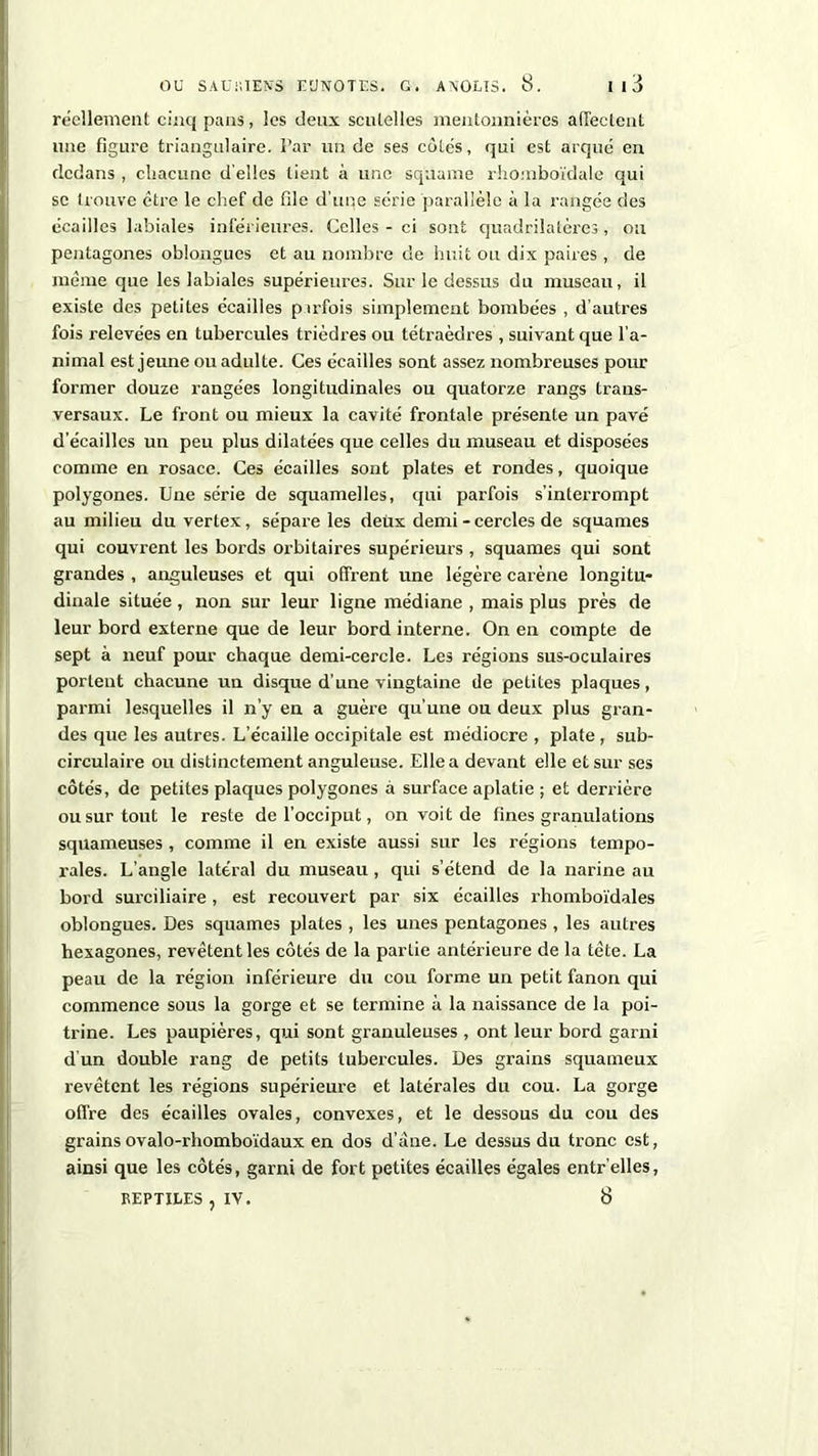 réellement cinq pans, les deux sculelles mentonnières affectent une figure triangulaire. Par un de ses côtés, qui est arqué en dedans , chacune d’elles lient à une squame rhomboïdale qui se trouve être le chef de file d’une série parallèle à la rangée des écailles labiales inférieures. Celles - ci sont quadrilatères, ou pentagones oblongues et au nombre de huit ou dix paires, de même que les labiales supérieures. Sur le dessus du museau, il existe des petites écailles parfois simplement bombées , d’autres fois relevées en tubercules trièdres ou tétraèdres , suivant que l’a- nimal est jeune ou adulte. Ces écailles sont assez nombreuses pour former douze rangées longitudinales ou quatorze rangs trans- versaux. Le front ou mieux la cavité frontale présente un pavé d'écailles un peu plus dilatées que celles du museau et disposées comme en rosace. Ces écailles sont plates et rondes, quoique polygones. Une série de squamelles, qui parfois s’interrompt au milieu du vertex, sépare les deux demi - cercles de squames qui couvrent les bords orbitaires supérieurs , squames qui sont grandes , anguleuses et qui offrent une légère carène longitu- dinale située , non sur leur ligne médiane , mais plus près de leur bord externe que de leur bord interne. On en compte de sept à neuf pour chaque demi-cercle. Les régions sus-oculaires portent chacune un disque d’une vingtaine de pelites plaques, parmi lesquelles il n’y en a guère qu’une ou deux plus gran- des que les autres. L’écaille occipitale est médiocre , plate , sub- circulaire ou distinctement anguleuse. Elle a devant elle et sur ses côtés, de petites plaques polygones à surface aplatie ; et derrière ou sur tout le reste de l’occiput, on voit de fines granulations squameuses, comme il en existe aussi sur les régions tempo- rales. L’angle latéral du museau, qui s’étend de la narine au bord surciliaire, est recouvert par six écailles rhomboïdales oblongues. Des squames plates , les unes pentagones , les autres hexagones, revêtent les côtés de la partie antérieure de la tête. La peau de la région inférieure du cou forme un petit fanon qui commence sous la gorge et se termine à la naissance de la poi- trine. Les paupières, qui sont granuleuses , ont leur bord garni d'un double rang de petits tubercules. Des grains squameux revêtent les régions supérieure et latérales du cou. La gorge offre des écailles ovales, convexes, et le dessous du cou des grainsovalo-rhomboïdaux en dos d’âne. Le dessus du tronc est, ainsi que les côtés, garni de fort petites écailles égales entr’elles, REPTILES, IV. 8