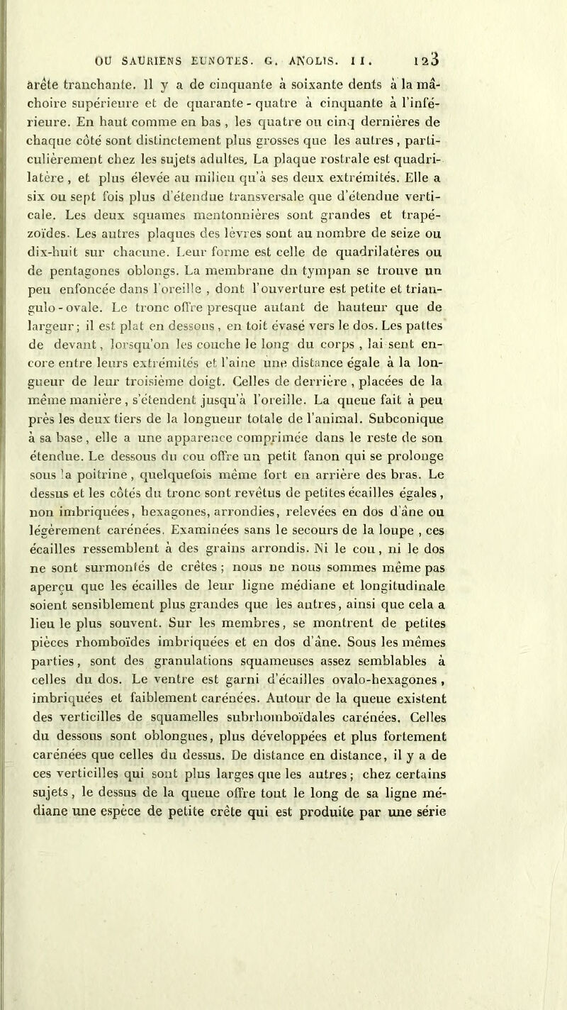 arête tranchante. 11 y a de cinquante à soixante dents à la mâ- choire supérieure et de quarante - quatre à cinquante à l’inté- rieure. En haut comme en bas , les quatre ou cinq dernières de chaque coté sont distinctement plus grosses que les autres , parti- culièrement chez les sujets adultes, La plaque rostrale est quadri- latère , et plus élevée au milieu qu’à ses deux extrémités. Elle a six ou sept fois plus d étendue transversale que d’étendue verti- cale. Les deux squames mentonnières sont grandes et trapé- zoïdes. Les autres plaques des lèvres sont au nombre de seize ou dix-huit sur chacune. Leur forme est celle de quadrilatères ou de pentagones oblongs. La membrane du tympan se trouve un peu enfoncée dans 1 oreille , dont l’ouverture est petite et trian- gulo - ovale. Le tronc offre presque autant de hauteur que de largeur; il est plat en dessous , en toit évasé vers le dos. Les pattes de devant, lorsqu’on les couche le long du corps , lai sent en- core entre leurs extrémités et l’aine une distance égale à la lon- gueur de leur troisième doigt. Celles de derrière , placées de la même manière , s’étendent jusqu’à l’oreille. La queue fait à peu près les deux tiers de la longueur totale de l’animal. Subconique à sa base, elle a une apparence comprimée dans le reste de son étendue. Le dessous du cou offre un petit fanon qui se prolonge sous !a poitrine, quelquefois même fort en arrière des bras. Le dessus et les côtés du tronc sont revêtus de petites écailles égales, non imbriquées, hexagones, arrondies, relevées en dos d’âne ou légèrement carénées. Examinées sans le secours de la loupe , ces écailles ressemblent à des grains arrondis. Ni le cou, ni le dos ne sont surmontés de crêtes ; nous ne nous sommes même pas aperçu que les écailles de leur ligne médiane et longitudinale soient sensiblement plus grandes que les autres, ainsi que cela a lieu le plus souvent. Sur les membres, se montrent de petites pièces rhomboïdes imbriquées et en dos d’âne. Sous les mêmes parties, sont des granulations squameuses assez semblables à celles du dos. Le ventre est garni d’écailles ovalo-hexagones , imbriquées et faiblement carénées. Autour de la queue existent des verticilles de squamelles subrhomboïdales carénées. Celles du dessous sont oblongues, plus développées et plus fortement carénées que celles du dessus. De distance en distance, il y a de ces verticilles qui sont plus larges que les autres ; chez certains sujets, le dessus de la queue offre tout le long de sa ligne mé- diane une espèce de petite crête qui est produite par mie série