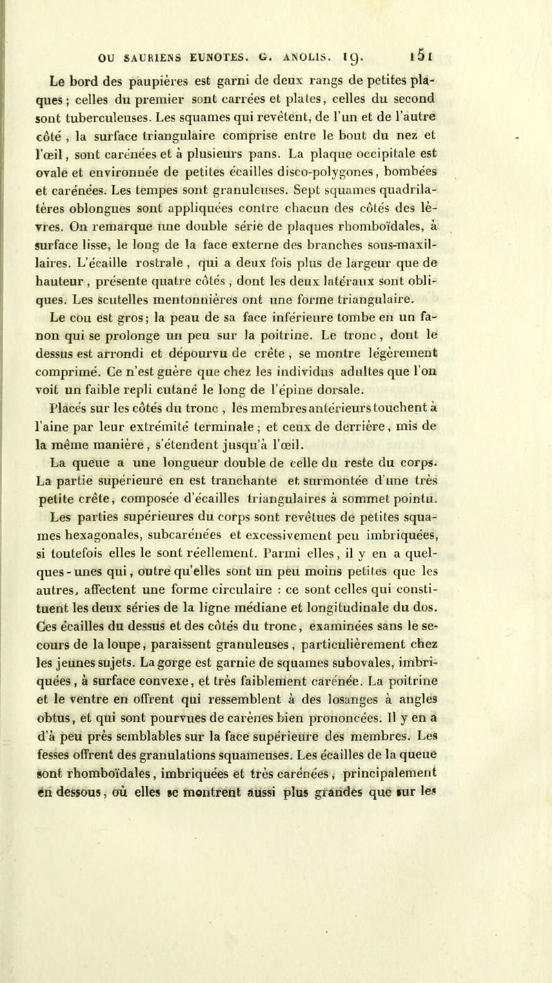 Le bord des paupières est garni de deux rangs de petites pla- ques ; celles du premier sont carrées et plates, celles du second sont tuberculeuses. Les squames qui revêtent, de l’un et de l’autre côté , la surface triangulaire comprise entre le bout du nez et l’œil, sont carénées et à plusieurs pans. La plaque occipitale est ovale et environnée de petites écailles disco-polygones, bombées et carénées. Les tempes sont granuleuses. Sept squames quadrila- tères oblongues sont appliquées contre chacun des côtés des lè- vres. On remarque une double série de plaques rhomboïdales, à surface lisse, le long de la face externe des branches sous-maxil- laires. L’écaille rostrale , qui a deux fois plus de largeur que de hauteur , présente quatre côtés , dont les deux latéraux sont obli- ques. Les scutelles mentonnières ont une forme triangulaire. Le cou est gros ; la peau de sa face inférieure tombe en un fa- non qui se prolonge un peu sur la poitrine. Le tronc, dont le dessus est arrondi et dépourvu de crête , se montre légèrement comprimé. Ce n’est guère que chez les individus adultes que l’on voit un faible repli cutané le long de l’épine dorsale. Placés sur les côtés du tronc , les membres antérieurs touchent à l’aine par leur extrémité terminale ; et ceux de derrière, mis de la même manière , s’étendent jusqu’à l’œil. La queue a une longueur double de celle du reste du corps. La partie supérieure en est tranchante et surmontée d’une très petite crête, composée d’écailles triangulaires à sommet pointu. Les parties supérieures du corps sont revêtues de petites squa- mes hexagonales, subcarénées et excessivement peu imbriquées, si toutefois elles le sont réellement. Parmi elles, il y en a quel- ques-unes qui, outre quelles sont un peu moins petites que les autres, affectent une forme circulaire : ce sont celles qui consti- tuent les deux séries de la ligne médiane et longitudinale du dos. Ces écailles du dessus et des côtés du tronc, examinées sans le se- cours de la loupe, paraissent granuleuses, particulièrement chez les jeunes sujets. La gorge est garnie de squames subovales, imbri- quées, à surface convexe, et très faiblement carénée. La poitrine et le ventre en offrent qui ressemblent à des losanges à angles obtus, et qui sont pourvues de carènes bien prononcées. Il y en a d’à peu près semblables sur la face supérieure des membres. Les fesses offrent des granulations squameuses. Les écailles de la queue sont rhomboïdales, imbriquées et très carénées, principalement en dessous, où elles se montrent aussi plus grandes que sur les
