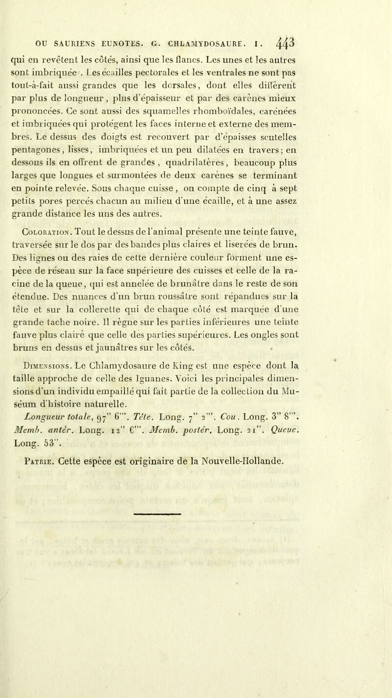 qui en revêtent les côtés, ainsi que les flancs. Les unes et les autres sont imbriquée . Les écailles pectorales et les ventrales ne sont pas tout-à-fait aussi grandes que les dorsales, dont elles diffèrent par plus de longueur , plus d’épaisseur et par des carènes mieux prononcées. Ce sont aussi des squamelles rhomboïdales, carénées et imbriquées qui protègent les faces interne et externe des mem- bres. Le dessus des doigts est recouvert par d’épaisses scutelles pentagones , lisses, imbriquées et un peu dilatées en travers; en dessous ils en offrent de grandes , quadrilatères, beaucoup plus larges que longues et surmontées de deux carènes se terminant en pointe relevée. Sous chaque cuisse , on compte de cinq à sept petits pores percés chacun au milieu d’une écaille, et à une assez grande distance les uns des autres. Coloration. Tout le dessus de l’anima] présente une teinte fauve, traversée sur le dos par des bandes plus claires et liserées de brun. Des lignes ou des raies de cette dernière couleur forment une es- pèce de réseau sur la face supérieure des cuisses et celle de la ra- cine de la queue, qui est annelée de brunâtre dans le reste de son étendue. Des nuances d’un brun roussâtre sont répandues sur la tète et sur la collerette qui de chaque côté est marquée d’une grande tache noire. 11 règne sur les parties inférieures une teinte fauve plus clairè que celle des parties supérieures. Les ongles sont bruns en dessus et jaunâtres sur les côtés. Dimensions. Le Chlamydosaure de Iving est une espèce dont la taille approche de celle des Iguanes. Voici les principales dimen- sions d’un individu empaillé qui fait partie de la collection du Mu- séum d'histoire naturelle. Longueur totale, 97” 6’”. Tête. Long. 7” 2’”. Cou. Long. 3” 8’”. Memh. antêr. Long. 12” 6”’. Memb. poster. Long. 21”. Queue. Long. 53”. Patrie. Cette espèce est originaire de la Nouvelle-Hollande.