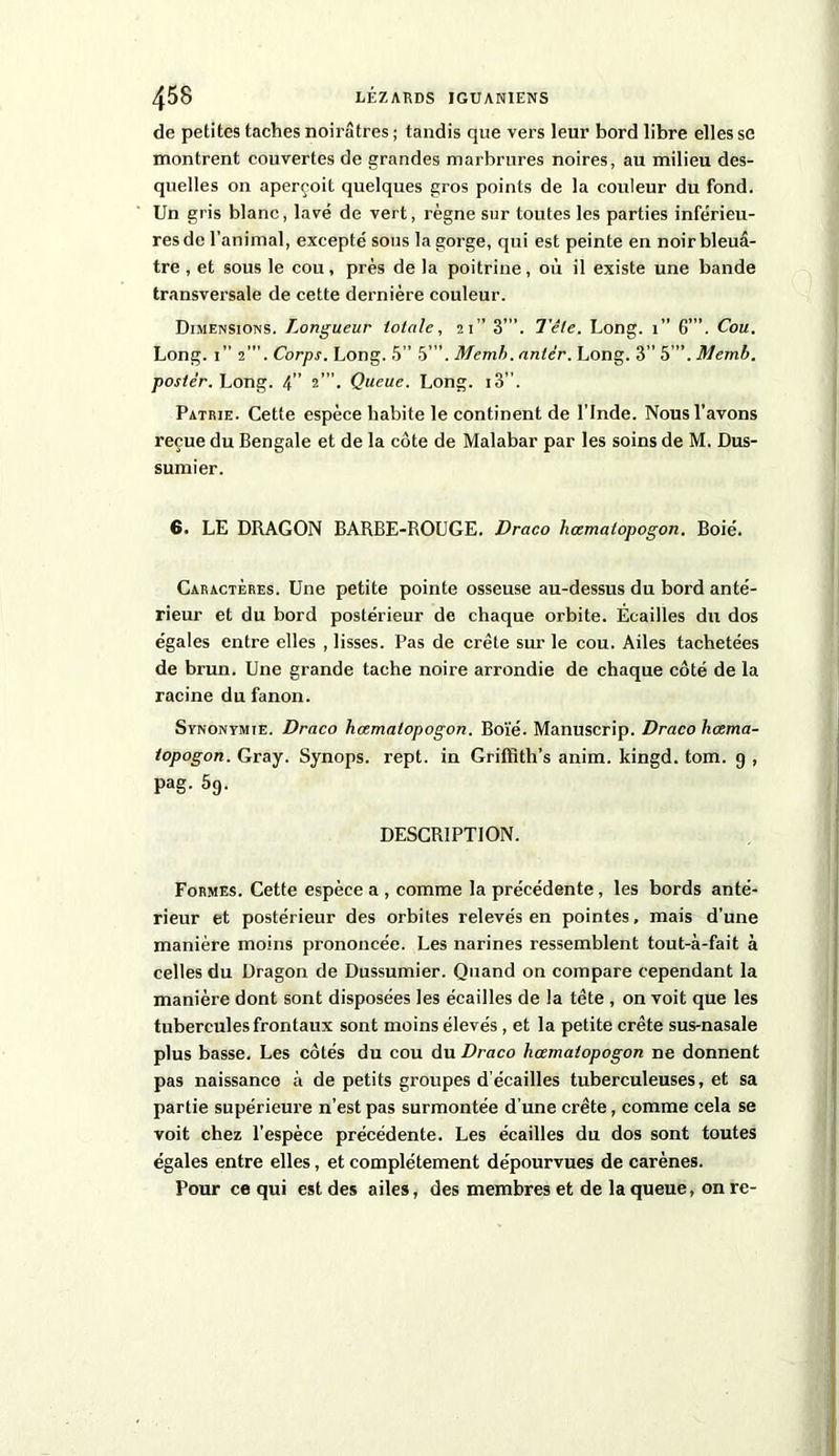 de petites taches noirâtres ; tandis que vers leur bord libre elles se montrent couvertes de grandes marbrures noires, au milieu des- quelles on aperçoit quelques gros points de la couleur du fond. Un gris blanc, lavé de vert, règne sur toutes les parties inférieu- res de l’animal, excepté sous la gorge, qui est peinte en noir bleuâ- tre , et sous le cou, près de la poitrine, où il existe une bande transversale de cette dernière couleur. Dimensions. Longueur totale, 21” 3’”. Tête. Long. 1” 6”’. Cou. Long. 1” 2’”. Corps. Long. 5” 5”’. Memh.antèr. Long. 3” 5 ”. Memb. poster. Long. 4” 2”’. Queue. Long. i3”. Patrie. Cette espèce habite le continent de l'Inde. Nous l’avons reçue du Bengale et de la côte de Malabar par les soins de M. Dus- sumier. 6. LE DRAGON BARBE-ROUGE. Draco hœmatopogon. Boié. Caractères. Une petite pointe osseuse au-dessus du bord anté- rieur et du bord postérieur de chaque orbite. Écailles du dos égales entre elles , lisses. Pas de crête sur le cou. Ailes tachetées de brun. Une grande tache noire arrondie de chaque côté de la racine du fanon. Synonymie. Draco hœmatopogon. Boïé. Manuscrip. Draco hœma- topogon. Gray. Synops. rept. in Griftith’s anim. kingd. tom. 9 , pag. 5g. DESCRIPTION. Formes. Cette espèce a , comme la précédente, les bords anté- rieur et postérieur des orbites relevés en pointes, mais d’une manière moins prononcée. Les narines ressemblent tout-à-fait à celles du Dragon de Dussumier. Quand on compare cependant la manière dont sont disposées les écailles de la tête , on voit que les tubercules frontaux sont moins élevés , et la petite crête sus-nasale plus basse. Les côtés du cou du Draco hœmatopogon ne donnent pas naissance à de petits groupes d’écailles tuberculeuses, et sa partie supérieure n’est pas surmontée d’une crête, comme cela se voit chez l’espèce précédente. Les écailles du dos sont toutes égales entre elles, et complètement dépourvues de carènes. Pour ce qui est des ailes, des membres et de la queue, on re-