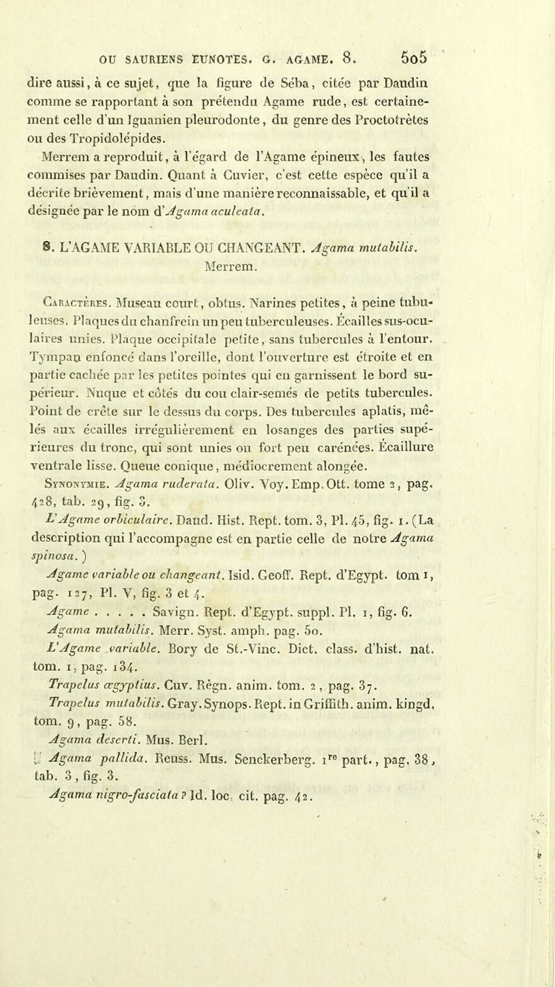 dire aussi, à ce sujet, que la figure de Séba, cite'e par Daudin comme se rapportant à son prétendu Agame rude, est certaine- ment celle d’un Iguanien pleurodonte, du genre des Proctotrètes ou des Tropidolépides. Merrem a reproduit, à l’égard de l’Agame épineux, les fautes commises par Daudin. Quant à Cuvier, c’est cette espèce qu’il a décrite brièvement, mais d’une manière reconnaissable, et qu’il a désignée par le nom d'Agama aculeala. S. L’AGAME VARIABLE QU CHANGEANT. Agama mulabilis. Merrem. Caractères. Museau court, obtus. Narines petites, à peine tubu- leuses. Plaques du chanfrein un peu tuberculeuses. Ecailles sus-ocu- laires unies. Plaque occipitale petite, sans tubercules à l’entour. Tympan enfoncé dans l’oreille, dont l’ouverture est étroite et en partie cachée par les petites pointes qui en garnissent le bord su- périeur. Nuque et côtés du cou clair-semés de petits tubercules. Point de crête sur le dessus du corps. Des tubercules aplatis, mê- lés aux écailles irrégulièrement en losanges des parties supé- rieures du tronc, qui sont unies ou fort peu carénées. Ecaillure ventrale lisse. Queue conique, médiocrement alongée. Synonymie. Agama ruderata. Oliv. Voy.Emp.Qtt. tome 2, pag. 428, tab. 29, fig. 3. L'Agame orbiculaire. Daud. Hist. Rept. tom. 3, PI. 40, fig. 1. (La description qui l’accompagne est en partie celle de notre Agama spinosa. ) Agame variable ou changeant. Isid. GeolT. Rept. d’Egypt. tom I, pag. 127, PL V, fig. 3 et 4. Agame Savign. Rept. d’Egypt. suppl. PI. 1, fig. 6. Agama mutabilis. Merr. Syst. amph. pag. 5o. L'Agame variable. Bory de St.-Vinc. Dict. class. d’hist. nat. tom. 1, pag. i34. Trapelus œgypiius. Cuv. Règn. anim. tom. 2 , pag. 37. Trapelus mutabilis. Gray. Synops. Rept. in Griffith, anim. kingd, tom. 9, pag. 58. Agama deserti. Mus. Berl. . Agama pallida. Reuss. Mus. Senckerberg. irepart., pag. 38, tab. 3 , fig. 3. Agama nigro-fasciata ? Jd. loc cit. pag. 42.