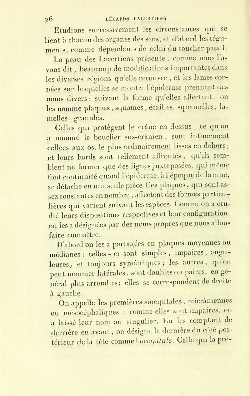 Etudions successivement les circonstances qui se lient à chacun des organes des sens, et d’abord les tégu- ments, comme dépendants de celui du toucher passif. La peau des Lacer tiens présente , comme nous la- vons dit, beaucoup de modifications importantes dans les diverses régions quelle recouvre , et les lames cor- nées sur lesquelles se montre l’épiderme prennent des noms divers : suivant la forme quelles affectent, on les nomme plaques , squames , écailles, squameiles, la- melles , granules. Celles qui protègent le crâne en dessus , ce qu on a nommé le bouclier sus-cranien , sont intimement collées aux os, le plus ordinairement lisses en dehors; et leurs bords sont tellement affrontés , qu ils sem- blent ne former que des lignes juxtaposées, qui même font continuité quand l’épiderme, à l’époque de la mue, se détache en une seule pièce.Ces plaques, qui sont as- sez constantes en nombre , affectent des formes particu- lières qui varient suivant les espèces. Comme on a étu- dié leurs dispositions respectives et leur configuration, on les a désignées par des noms propres que nous allons faire connaître. D’abord on les a partagées en plaques moyennes ou médianes : celles - ci sont simples , impaires , angu- leuses, et toujours symétriques ; les autres , qu’on peut nommer latérales , sont doubles ou paires, en gé- néral plus arrondies; elles se correspondent de droite à gauche. On appelle les premières sincipitales-, micrâmennes ou mésocéphaliques : comme elles sont impaires, on a laissé leur nom au singulier. En les comptant de derrière en ayant, on désigne la dernière du côté pos- térieur de la tête comme Y occipitale. Celle qui la pvé-