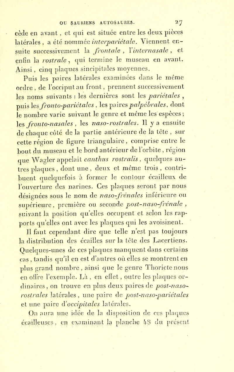 cède en avant , et qui est située entre les deux pièces latérales , a été nommée interpariétale. ^Viennent en- suite successivement la frontale-, Y internasale , et enfin la rostrale , qui termine le museau en avant. Ainsi, cinq plaques sincipitales moyennes. Puis les paires latérales examinées dans le même ordre , de l’occiput au front, prennent successivement les noms suivants : les dernières sont les pariétales , puis les fronto-par létale s , les paires palpébrales, dont le nombre varie suivant le genre et même les espèces ; les fronto-nasales , les naso-rostrales. Il y a ensuite de chaque côté de la partie antérieure de la tête , sur cette région de figure triangulaire, comprise entre le bout du museau et le bord antérieur de l’orbite , région que Wagler appelait canthus rostralis , quelques au- tres plaques , dont une , deux et même trois , contri- buent quelquefois à former le contour écailleux de l’ouverture des narines. Ces plaques seront par nous désignées sous le nom de naso-frénales inférieure ou supérieure , première ou seconde post-naso-fèn a le } suivant la position qu’elles occupent et selon les rap- ports qu’elles ont avec les plaques qui les avoisinent. Il faut cependant dire que telle n’est pas toujours la distribution des écailles sur la tête des Lacertiens. Quelques-unes de ces plaques manquent dans certains cas , tandis qu’il en est d’autres où elles se montrent en plus grand nombre, ainsi que le genre Tborictenous en offre l’exemple. Là , en elïet, outre les plaques or- dinaires , on trouve en plus deux paires de post-naso- rostrales latérales , une paire de post-naso-pariètales et une paire occipitales latérales. On aura une idée de la disposition de ces plaques écailleuses, en examinant la planche kS du présent