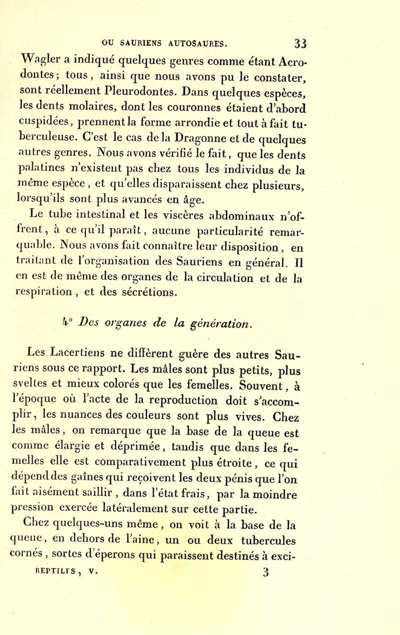 Wagler a indiqué quelques genres comme étant Acro- dontes ; tous, ainsi que nous avons pu le constater, sont réellement Pleurodontes. Dans quelques espèces, les dents molaires, dont les couronnes étaient d abord cuspidées, prennent la forme arrondie et tout à fait tu- berculeuse. C’est le cas delà Dragonne et de quelques autres genres. Nous avons vérifié le fait, que les dents palatines n’existent pas chez tous les individus de la meme espèce , et qu’elles disparaissent chez plusieurs, lorsqu’ils sont plus avancés en âge. Le tube intestinal et les viscères abdominaux Cof- frent, à ce qu’il paraît, aucune particularité remar- quable. Nous avons fait connaître leur disposition , en traitant de l’organisation des Sauriens en général. Il en est de même des organes de la circulation et de la respiration , et des sécrétions. 4° Des organes de la génération. Les Lacertiens ne diffèrent guère des autres Sau- riens sous ce rapport. Les mâles sont plus petits, plus sveltes et mieux colorés que les femelles. Souvent, à l’époque où l’acte de la reproduction doit s’accom- plir, les nuances des couleurs sont plus vives. Chez les mâles, on remarque que la base de la queue est comme élargie et déprimée, tandis que dans les fe- melles elle est comparativement plus étroite, ce qui dépend des gaînes qui reçoivent les deux pénis que l’on fait aisément saillir , dans l’état frais, par la moindre pression exercée latéralement sur cette partie. Chez quelques-uns même , on voit à la base de la queue, en dehors de l’aine, un ou deux tubercules cornés , sortes d’éperons qui paraissent destinés à exci- REPTILFS, V. 3