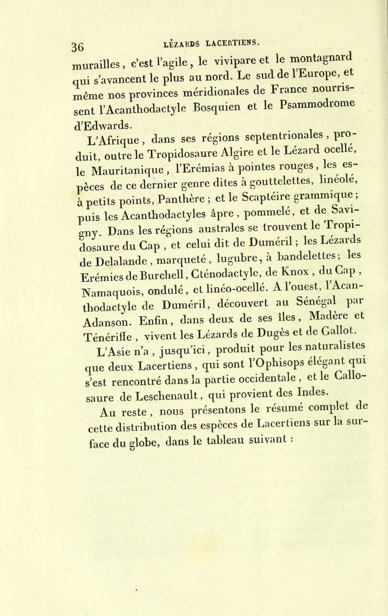 murailles, c’est l’agile , le vivipare et le montagnard oui s’avancent le plus au nord. Le sud de l’Europe, et même nos provinces méridionales de France nourris- sent l’Acanthodactyle Bosquien et le Psammodrome (TEdwards. L'Afrique, dans ses régions septentrionales , pro- duit, outre le Tropidosaure Algire et le Lézard ocel e, le Mauritanique , l’Erémias à pointes rouges, les es- pèces de ce dernier genre dites à gouttelettes, lineole, à petits points. Panthère ; et le Scaptéire grammique ; puis les Acanthodactyles âpre , pommelé, et de Savi- o-nv. Dans les régions australes se trouvent le Tropi- dosaure du Cap ,‘et celui dit de Duméril ; les Lézards de Delalande , marqueté , lugubre, à bandelettes ; es Erémies de Burcbell, Cténodactyle, de Knox, du Cap , Namaquois, ondulé, et linéo-ocellé. Al ouest, 1 Acan- thodactyle de Duméril, découvert au Sénégal par Adanson. Enfin, dans deux de ses îles, Madère et Ténérilïe , vivent les Lézards de Dugès et de Gallot. L’Asie n’a , jusqu’ici, produit pour les naturalistes que deux Lacertiens , qui sont l’Ophisops élégant qui s’est rencontré dans la partie occidentale , et le Callo- saure de Leschenault, qui provient des Indes. Au reste , nous présentons le résumé complet de cette distribution des espèces de Lacertiens sur la sur- face du globe, dans le tableau suivant :