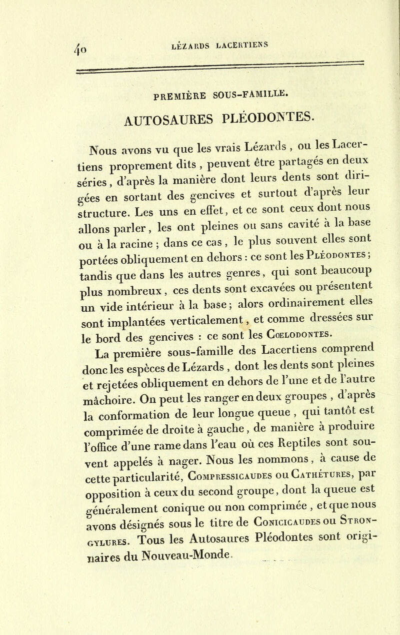 /fo première soijs-famille. AUTOSAURES PLÉODONTES. Nous avons vu que les vrais Lézards , ou les Lacci tiens proprement dits , peuvent être partagés en deux séries, d’après la manière dont leurs dents sont diri- gées en sortant des gencives et surtout d'apres leur structure. Les uns en efïèt, et ce sont ceux dont nous allons parler, les ont pleines ou sans cavité à la base ou à la racine ; dans ce cas , le plus souvent elles sont portées obliquement en dehors : ce sont les Pléodontes ; tandis que dans les autres genres, qui sont beaucoup plus nombreux, ces dents sont excavées ou présentent un vide intérieur à la base ; alors ordinairement elles sont implantées verticalement, et comme dressées sur le bord des gencives : ce sont les Coelodontes. La première sous-famille des Lacertiens comprend donc les espèces de Lézards, dont les dents sont pleines et rejetées obliquement en dehors de l’une et de l’autre mâchoire. On peut les ranger en deux groupes , d apres la conformation de leur longue queue , qui tantôt est comprimée de droite à gauche, de manière à produire l’office d’une rame dans l'eau où ces Reptiles sont sou- vent appelés à nager. Nous les nommons, à cause de cette particularité, Compkessigaudes ou Cathétures, par opposition à ceux du second groupe, dont la queue est généralement conique ou non comprimée , et que nous avons désignés sous le titre de Conicicaudes ou Stron- gylcres. Tous les Autosaures Pléodontes sont origi- naires du Nouveau-Monde.