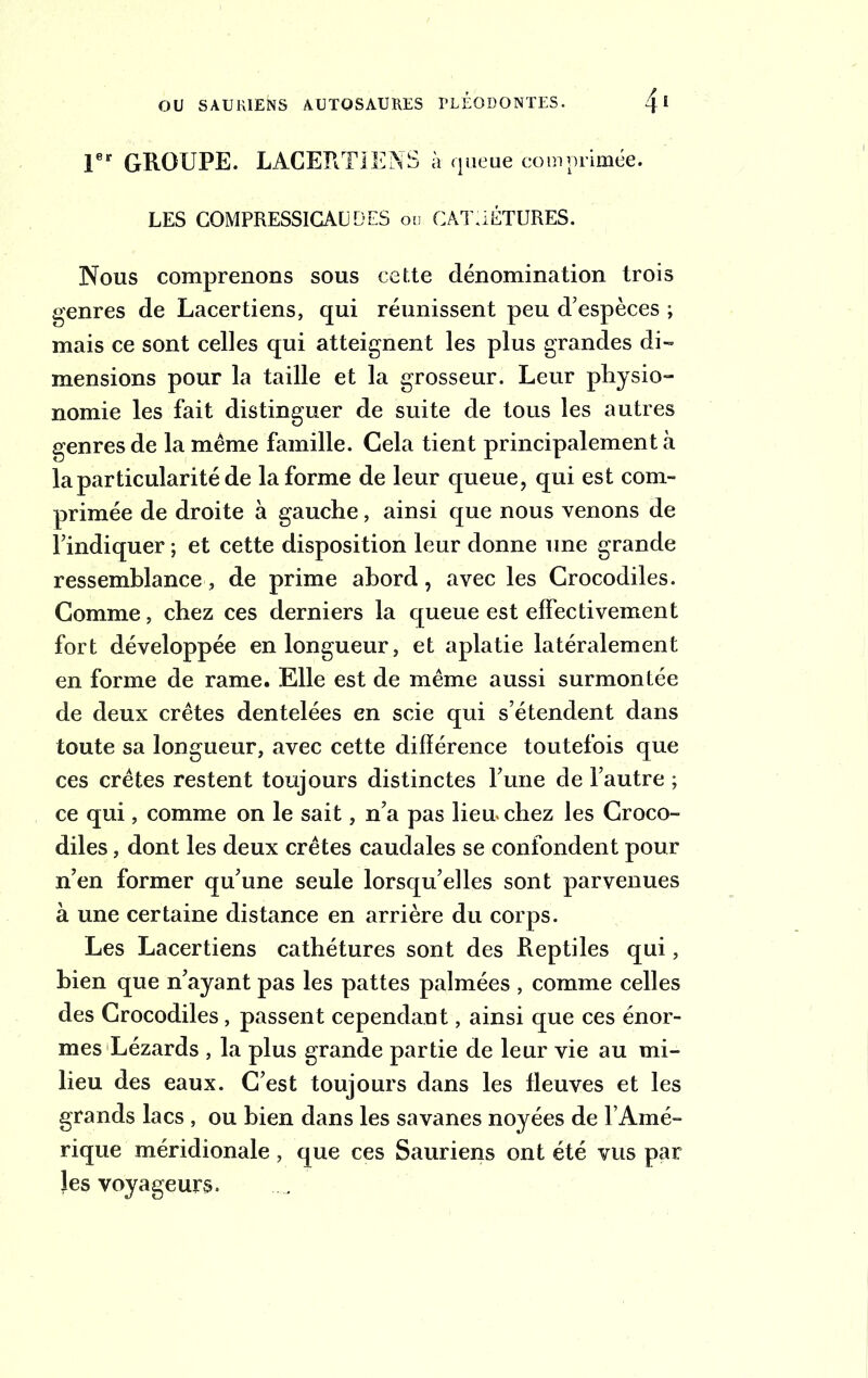 OU SAURIENS AUTOSAURES PLEODONTES. 1er GROUPE. LACERTIENS à queue comprimée. LES COMPRESSICAU DES ou CAT1IÉTURES. Nous comprenons sous cette dénomination trois genres de Lacertiens, qui réunissent peu d’espèces ; mais ce sont celles qui atteignent les plus grandes di- mensions pour la taille et la grosseur. Leur physio- nomie les fait distinguer de suite de tous les autres genres de la même famille. Cela tient principalement à la particularité de la forme de leur queue, qui est com- primée de droite à gauche, ainsi que nous venons de l’indiquer ; et cette disposition leur donne une grande ressemblance, de prime abord, avec les Crocodiles. Comme, chez ces derniers la queue est effectivement fort développée en longueur, et aplatie latéralement en forme de rame. Elle est de même aussi surmontée de deux crêtes dentelées en scie qui s’étendent dans toute sa longueur, avec cette différence toutefois que ces crêtes restent toujours distinctes l’une de l’autre ; ce qui, comme on le sait, n’a pas lieu, chez les Croco- diles , dont les deux crêtes caudales se confondent pour n’en former qu’une seule lorsqu’elles sont parvenues à une certaine distance en arrière du corps. Les Lacertiens cathétures sont des Reptiles qui, bien que n’ayant pas les pattes palmées , comme celles des Crocodiles , passent cependant, ainsi que ces énor- mes Lézards , la plus grande partie de leur vie au mi- lieu des eaux. C’est toujours dans les fleuves et les grands lacs , ou bien dans les savanes noyées de l’Amé- rique méridionale, que ces Sauriens ont été vus par les voyageurs.