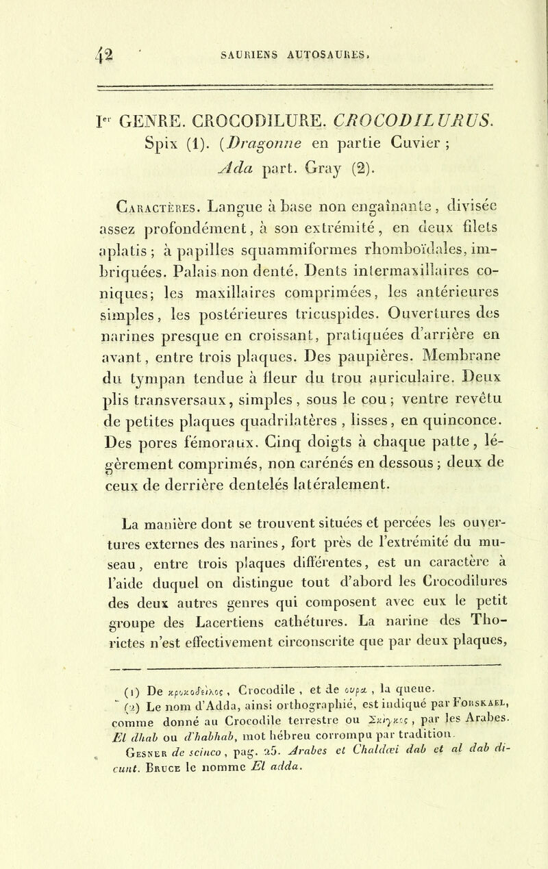 I« GENRE. CROCODILURE. ÇROCODILURUS. Spix (1). (Dragonne en partie Cuvier ; .z/Jæ part. Gray (2). Caractères. Langue à base non engainante, divisée assez profondément, à son extrémité, en deux filets aplatis ; à papilles squammiformes rbomboïdales, im- briquées. Palais non denté. Dents inlermaxillaires co- niques; les maxillaires comprimées, les antérieures simples, les postérieures tricuspides. Ouvertures des narines presque en croissant, pratiquées d’arrière en avant, entre trois plaques. Des paupières. Membrane du tympan tendue à fleur du trou auriculaire. Deux plis transversaux, simples, sous le cou; ventre revêtu de petites plaques quadrilatères , lisses, en quinconce. Des pores fémoraux. Cinq doigts à chaque patte, lé- gèrement comprimés, non carénés en dessous ; deux de ceux de derrière dentelés latéralement. La manière dont se trouvent situées et percées les ouver- tures externes des narines, fort près de l’extrémité du mu- seau, entre trois plaques différentes, est un caractère à l’aide duquel on distingue tout d’abord les Crocodilures des deux autres genres qui composent avec eux le petit groupe des Lacertiens cathétures. La narine des Tho- rictes n’est effectivement circonscrite que par deux plaques, (i) De jtpoKo&lxoe,, Crocodile , et de ovp* , la queue. “ (2) Le nom d’Adda, ainsi orthographié, est indiqué par Fouskaeu, comme donné au Crocodile terrestre ou Jiùym., par les Arabes. EL dhab ou d'habliab, mot hébreu corrompu par tradition. Gesner de scinco , pag. irj. Arabes et Chaldœi dab et al dab di- cunt. Bruce le nomme El adda.