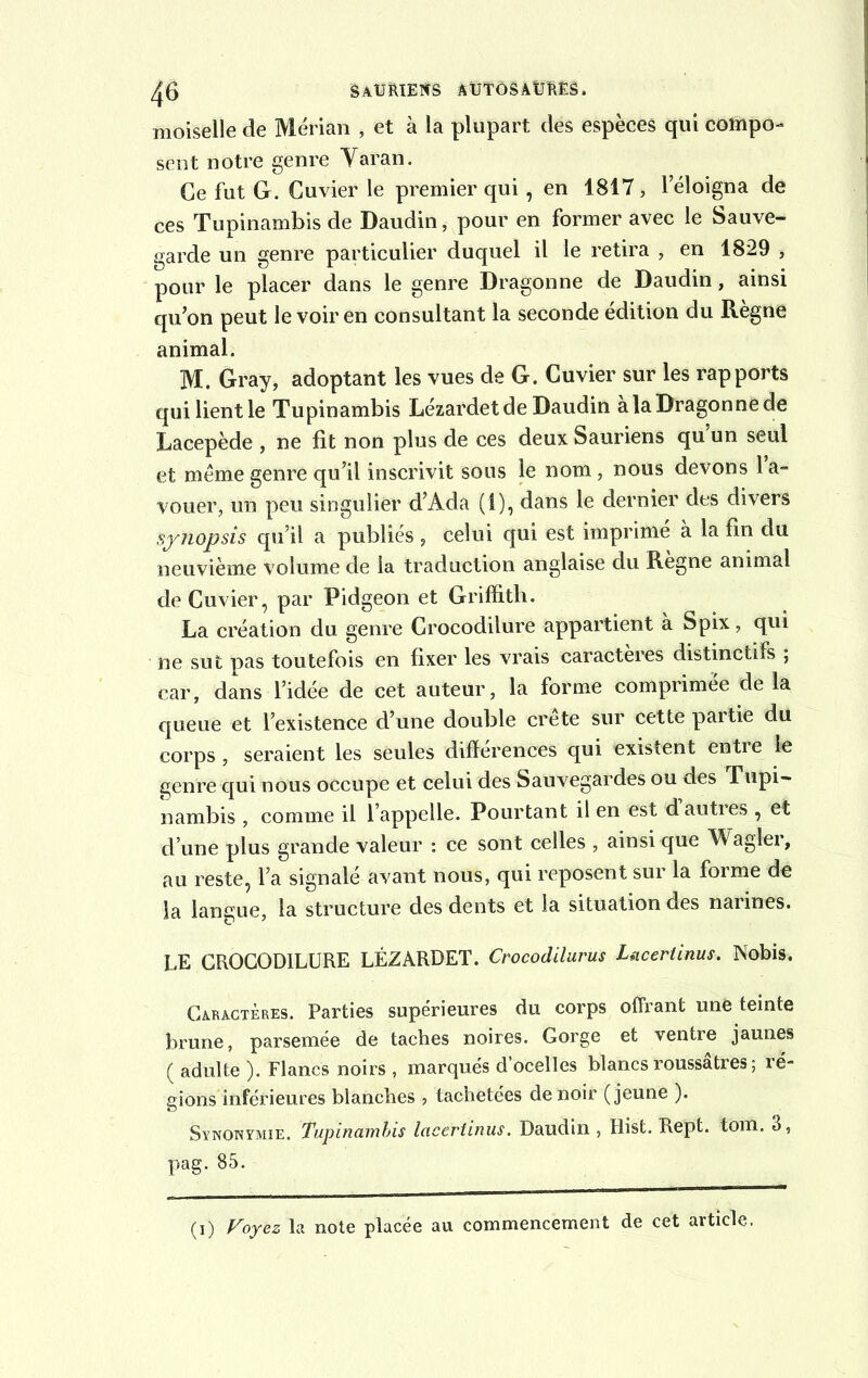 moiselle de Mérian , et à la plupart des espèces qui compo- sent notre genre Yaran. Ce fut G. Cuvier le premier qui, en 1817, 1 éloigna de ces Tupinambis de Daudin, pour en former avec le Sauve- garde un genre particulier duquel il le retira , en 1829 , pour le placer dans le genre Dragonne de Daudin, ainsi qu’on peut le voir en consultant la seconde édition du Règne animal. M. Gray, adoptant les vues de G. Cuvier sur les rapports qui lientle Tupinambis Lézardet de Daudin àlaDragonnede Lacepède , ne fit non plus de ces deux Sauriens qu un seul et même genre qu’il inscrivit sous le nom , nous devons 1 a- vouer, un peu singulier d’Ada (1), dans le dernier des divers synopsis qu’il a publiés , celui qui est imprime a la fin du neuvième volume de la traduction anglaise du Régné animai de Cuvier, par Pidgeon et Griffith. La création du genre Crocodilure appartient à Spix, qui ne sut pas toutefois en fixer les vrais caractères distinctifs ; car, dans l’idée de cet auteur, la forme comprimée de la queue et l’existence d’une double crete sur cette partie du corps, seraient les seules différences qui existent entre le genre qui nous occupe et celui des Sauvegardes ou des Tupi- nambis , comme il l’appelle. Pourtant il en est d autres , et d’une plus grande valeur : ce sont celles , ainsi que Wagler, au reste, l’a signalé avant nous, qui reposent sur la forme de la langue, la structure des dents et la situation des narines. LE CROCODILURE LÉZARDET. Crocodllurus Uicerûnus. Nobis. Caractères. Parties supérieures du corps offrant une teinte brune, parsemée de taches noires. Gorge et ventre jaunes ( adulte ). Flancs noirs , marqués d’ocelles blancs roussâtres ; ré- gions inférieures blanches , tachetées de noir (jeune ). Synonymie. Tupinamhis lacertinus. Daudin , Hist. Rept. foin. 3, pag. 85. (i) Voyez la note placée au commencement de cet article.