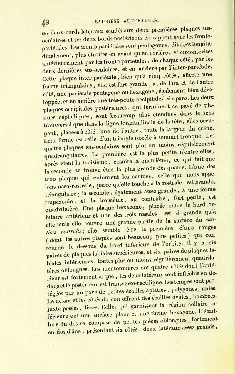 ses deux bords latéraux soudés aux deux premières plaques sus- oculaires, et ses deux bords postérieurs en rapport avec les fronto- pariétales. Les fronto-pariétales sont pentagones, dilatées longitu- dinalement, plus étroites en avant qu'en arrière, et circonscrites antérieurement par les fronto-pariétales, de chaque cote, par les deux dernières sus-oculaires, et en arrière par l’inter-parietale. Cette plaque inter-pariétale, bien qu’à cinq côtés, affecte une forme triangulaire; elle est fort grande, a, de l’un et de 1 autre côté une pariétale pentagone ou hexagone, également bien déve- loppée, et en arrière une très-petite occipitale à six pans. Les deux plaques occipitales postérieures, qui terminent ce pave e p a- ques céphaliques, sont beaucoup plus étendues dans le sens transversal que dans la ligne longitudinale de la tete ; elles occu- pent placées à côté l’une de l’autre, toute la largeur du crâne. l eur forme est celle d’un triangle isocèle à sommet tronque. Les quatre plaques sus-oculaires sont plus ou moins régulièrement quadrangulaires. La première est la plus petite d’entre elles ; après vient la troisième, ensuite la quatrième, ce qui fait que la seconde se trouve être la plus grande des quatre. Lune des trois plaques qui entourent les narines, celle que nous appe- lons naso-rostrale, parce quelle touche à la rostrale, est grande, triangulaire ; la seconde, également assez grande , a une forme trapézoïde; et la troisième, au contraire, fort petite, est quadrilatère. Une plaque hexagone, placée entre le bord bitaire antérieur et une des trois nasales, est si gran e qu a elle seule elle couvre une grande partie de la surface du can- thus rostrulis; elle semble être la première dune rangée ( dont les autres plaques sont beaucoup plus petites ) qui con- tourne le dessous du bord inférieur de l’orbite. 11 y a six naires de plaques labiales supérieures, et six paires de plaques a- biales inférieures, toutes plus ou moins régulièrement quadn a- tères oblongues. Les mentonnières ont quatre cotes dont 1 ante- rieur est fortement arqué , les deuxlatéraux sont infléchis en e- dans elle postérieur est transverso-rectiligne. Les tempes sont pro- tégées par un pavé de petites écailles aplaties , polygones, unies. Le dessus et les côtés du cou offrent des écailles ovales, bombées, juxta-posées, lisses. Celles qui garnissent la région colla,rei m- férieure ont une surface plane et une forme hexagone, e Une du dos se compose de petites pièces oblongues , fortement en dos d’âne , présentant six côtés , deux latéraux assez grands,