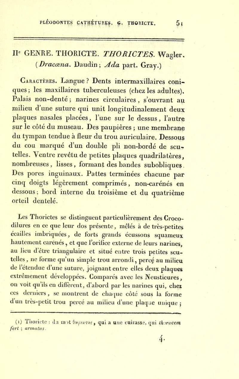 4 ' IP GENRE. THORICTE. THORICTES. Wasrler. (.Dracœna. Daudin ; Ada part. Gray.) Caractères. Langue ? Dents intermaxillaires coni- ques ; les maxillaires tuberculeuses (chez les adultes). Palais non-denté ; narines circulaires , s’ouvrant au milieu d’une suture qui unit longitudinalement deux plaques nasales placées, l’une sur le dessus, l’autre sur le côté du museau. Des paupières ; une membrane du tympan tendue à fleur du trou auriculaire. Dessous du cou marqué d’un double pli non-bordé de scu- telles. Ventre revêtu de petites plaques quadrilatères, nombreuses , lisses, formant des bandes subobliques. Des pores inguinaux. Pattes terminées chacune par cinq doigts légèrement comprimés, non-carénés en dessous; bord interne du troisième et du quatrième orteil dentelé. Les Thorictes se distinguent particulièrement des Croco- dilures en ce que leur dos présente, mêlés à de très-petites écailles imbriquées, de forts grands écussons squameux hautement carénés, et que l’orifice externe de leurs narines, au lieu detre triangulaire et situé entre trois petites scu- telles , ne forme qu’un simple trou arrondi, percé au milieu de l’étendue d’une suture, joignant entre elles deux plaques extrêmement développées. Comparés avec les Neusticures, on voit qu’ils en different, d’abord par les narines qui, chez ces derniers, se montrent de chaque côté sous la forme d un très-petit trou percé au milieu d’une plaque unique ; (i) Thoricte : du mot ^hjcthc, qui a une cuirasse, qui tïiDraçem fert ; armatus.