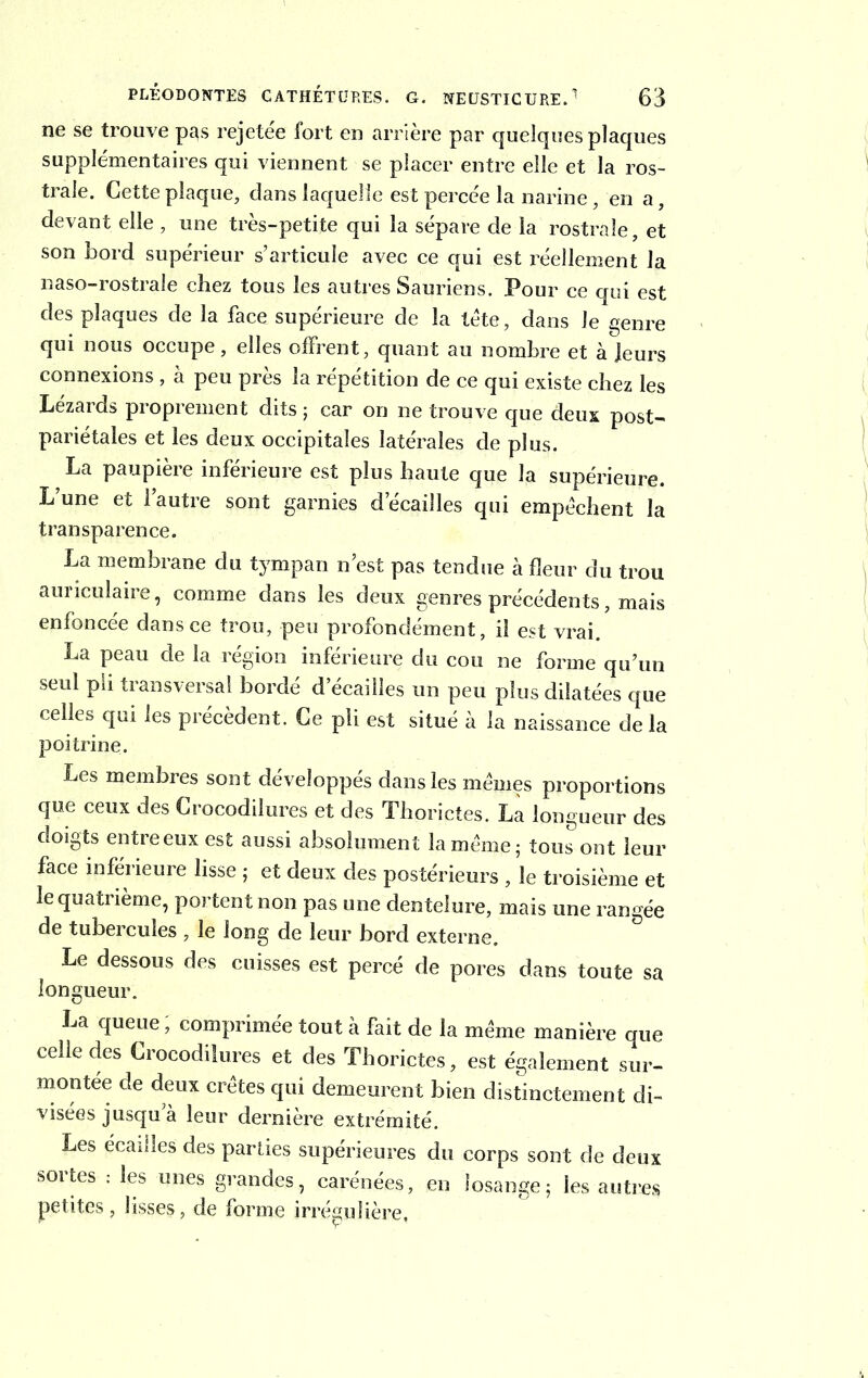 ne se trouve pas rejetée fort en arrière par quelquesplaques supplémentaires qui viennent se placer entre elle et la ros- trale. Cette plaque, dans laquelle est percée la narine, en a, devant elle , une très-petite qui la sépare de la rostraîe, et son bord supérieur s’articule avec ce qui est réellement la naso-rostrale chez tous les autres Sauriens. Pour ce qui est des plaques de la face supérieure de la tète, dans le genre qui nous occupe, elles offrent, quant au nombre et à leurs connexions , à peu près la répétition de ce qui existe chez les Lézards proprement dits ; car on ne trouve que deux post- pariétales et les deux occipitales latérales de plus. La paupière inférieure est plus haute que la supérieure. L une et 1 autre sont garnies d’écailles qui empêchent la transparence. La membrane du tympan n’est pas tendue à fleur du trou auriculaire, comme dans les deux genres précédents, mais enfoncée dans ce trou, peu profondément, il est vrai. La peau de la région inférieure du cou ne forme qu’un seul pli transversal bordé d’écailles un peu plus dilatées que celles qui les précèdent. Ce pli est situé à la naissance de la poitrine. Les membres sont développés dans les mêmes proportions que ceux des Crocodiîures et des Thorietes. La longueur des doigts entre eux est aussi absolument la même ; tous ont leur face inférieure lisse ; et deux des postérieurs , le troisième et le quatrième, portent non pas une dentelure, mais une rangée de tubercules , le long de leur bord externe. Le dessous des cuisses est percé de pores dans toute sa longueur. La queue ; comprimée tout à fait de la même manière que celle des Crocodiîures et des Thorietes, est également sur- montée de deux crêtes qui demeurent bien distinctement di- visées jusqu a leur dernière extrémité. Les écailles des parties supérieures du corps sont de deux sortes : les unes grandes, carénées, en losange ; les autres petites, lisses, de forme irrégulière,
