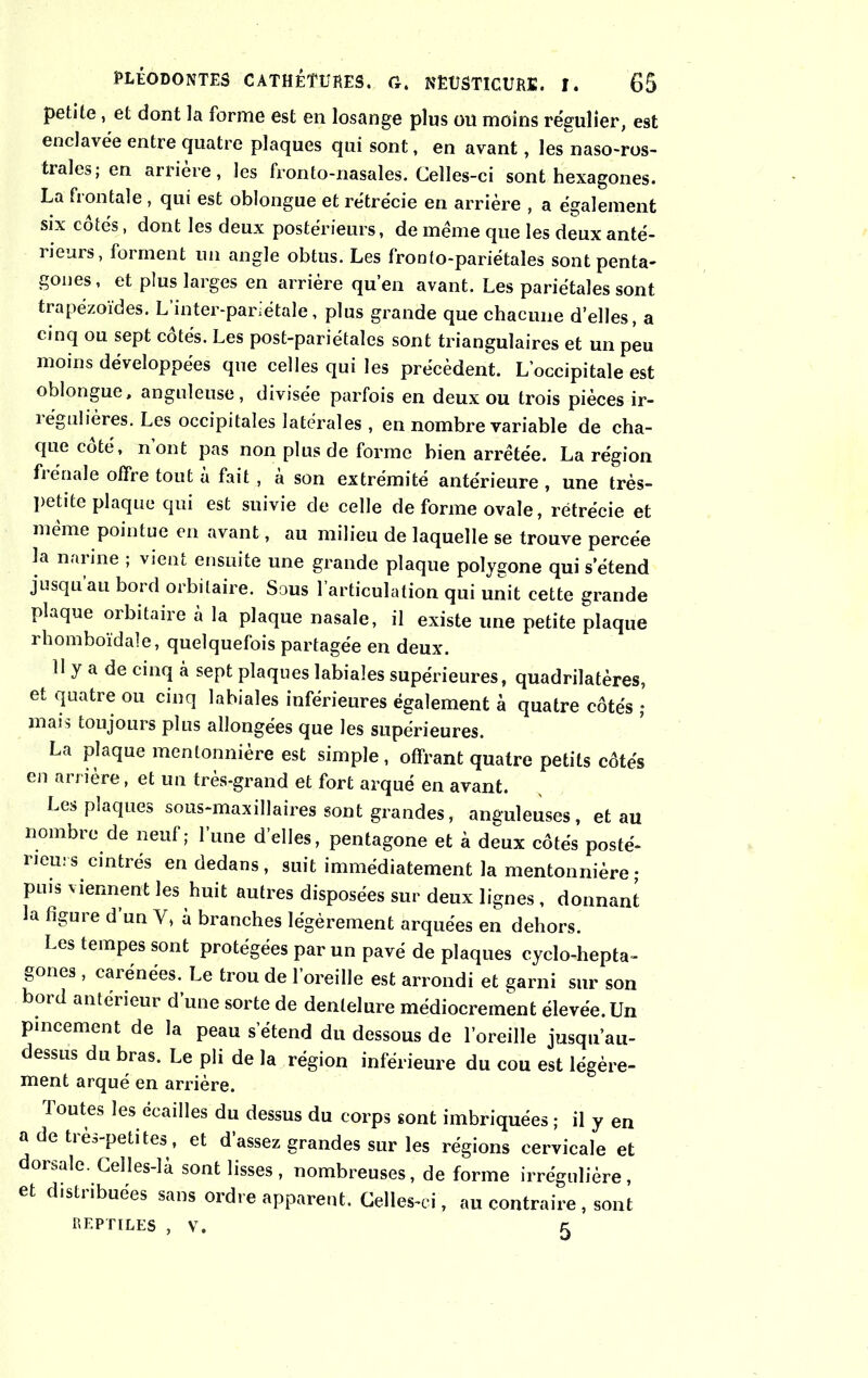 petite, et dont la forme est en losange plus ou moins re'guîier, est enclavée entre quatre plaques qui sont, en avant, les naso-ros- trales; en arrière, les fronto-nasales. Celles-ci sont hexagones. La frontale , qui est oblongue et rétrécie en arrière , a également six côtés, dont les deux postérieurs, de meme que les deux anté- rieurs, forment un angle obtus. Les fronto-pariétales sont penta- gones, et plus larges en arriére qu’en avant. Les pariétales sont trapézoïdes. L’inter-pariétale, plus grande que chacune d’elles, a cinq ou sept côtés. Les post-pariétales sont triangulaires et un peu moins développées que celles qui les précèdent. L’occipitale est oblongue, anguleuse, divisée parfois en deux ou trois pièces ir- régulières. Les occipitales latérales , en nombre variable de cha- que coté, nont pas non plus de forme bien arrêtée. La région frênaie offre tout à fait , a son extrémité antérieure , une très- petite plaque qui est suivie de celle de forme ovale, rétrécie et même pointue en avant, au milieu de laquelle se trouve percée la narine ; vient ensuite une grande plaque polygone qui s’étend jusqu’au bord orbitaire. Sous l’articulation qui unit cette grande plaque orbitaire à la plaque nasale, il existe une petite plaque rhomboïdale, quelquefois partagée en deux. 11 y a de cinq à sept plaques labiales supérieures, quadrilatères, et quatre ou cinq labiales inférieures également à quatre côtés ; mais toujours plus allongées que les supérieures. La plaque mentonnière est simple, offrant quatre petits côtés en arrière, et un très-grand et fort arqué en avant. Les plaques sous-maxillaires sont grandes, anguleuses, et au nombre de neuf; l’une d’elles, pentagone et à deux côtés posté- rieurs cintrés en dedans, suit immédiatement la mentonnière; puis viennent les huit autres disposées sur deux lignes , donnant la figure d un Y, à branches légèrement arquées en dehors. Les tempes sont protégées par un pavé de plaques cyclo-hepta- gones , carénées. Le trou de l’oreille est arrondi et garni sur son bord antérieur d’une sorte de dentelure médiocrement élevée. Un pincement de la peau s étend du dessous de l’oreille jusqu’au- dessus du bras. Le pli de la région inférieure du cou est légère- ment arqué en arrière. foutes les écailles du dessus du corps sont imbriquées ; il y en a de très-petites, et d’assez grandes sur les régions cervicale et dorsale. Celles-là sont lisses , nombreuses, de forme irrégulière, et distiibuées sans ordre apparent. Celles-ci, au contraire , sont reptiles , v. 5