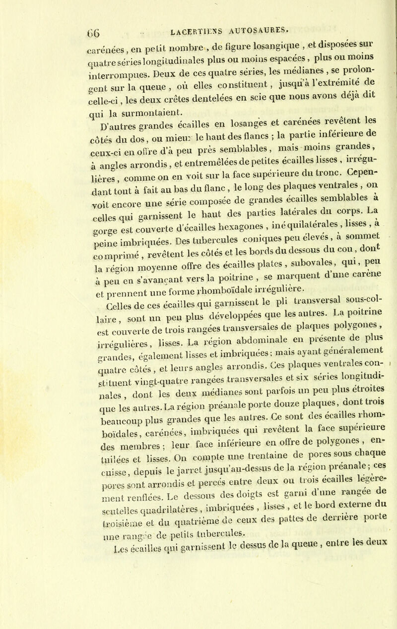 carénées, en petit nombre , de figure losangique , et disposées sur quatre séries longitudinales plus ou moins espacées, plus ou moins interrompues. Deux de ces quatre séries, les médianes , se prolon- gent sur la queue , où elles constituent, jusqu a l’extrémité de celle-ci, les deux crêtes dentelées en scie que nous avons déjà dit qui la surmontaient. D’autres grandes écailles en losanges et carénées revetent les côtés du dos, ou mieu: le haut des flancs ; la partie inférieure de ceux-ci en offre d a peu près semblables, mais moins grandes, à angles arrondis, et entremêlées de petites écailles lisses , irrégu- lières , comme on en voit sur la face supérieure du tronc. Cepen- dant tout à fait au bas du flanc, le long des plaques ventrales , on voit encore une série composée de grandes écailles semblables a celles qui garnissent le haut des parties latérales du corps. La ■rnrge est couverte d'écailles hexagones , iné qu.latérales , lisses , a peine imbriquées. Des tubercules coniques peu éleves, a sommet comprimé , revêtent les côtés et les bords du dessous du cou, dont la ré-ion moyenne offre des écailles plates , subovales, qui, peu à peu en s’avançant vers la poitrine , se marquent d une caréné et prennent une forme rhomboïdale irrégulière. Celles de ces écailles qui garnissent le pli transversal sous-col- laire, sont un peu plus développées que les autres. La poitrine est couverte de trois rangées transversales de plaques polygones , irrégulières, lisses. La région abdominale en présente de plus grandes, également lisses et imbriquées ; mais ayant généralement quatre côtés , et leurs angles arrondis. Ces plaques ventrales cou- stituent vingt-quatre rangées transversales et six sériés longitudi- nal dont les deux médianes sont parfois un peu plus étroites que lès autres. La région préanale porte douze plaques dont trois beaucoup plus grandes que les autres. Ce sont des écaillés rhom- boïdales, carénées, imbriquées qui revêtent la face supérieure des membres ; leur face inférieure eu offre de polygones, en- toilées et lisses. On compte une trentaine de pores sous chaque cuisse, depuis le jarret jusqu'au-dessus de la région preana.e; ces pores sont arrondis et percés entre deux ou trois écaillés légère- ment renflées. Le dessous des doigts est garni d’une rangée de scutelles quadrilatères, imbriquées , lisses , et le bord externe du troisième et du quatrième de ceux des pattes de derrière porte une rangée de petits tubercules. Les écailles qui garnissent le dessus de la queue , entre les deux