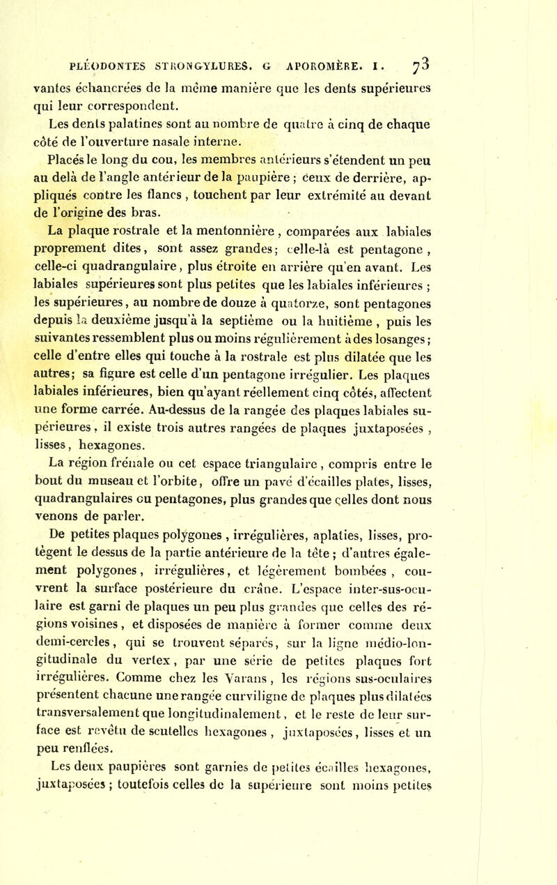 vantes échancrées de la meme manière que les dents supérieures qui leur correspondent. Les dents palatines sont au nombre de quatre à cinq de chaque côté de l’ouverture nasale interne. Placés le long du cou, les membres antérieurs s’étendent un peu au delà de l’angle antérieur de la paupière ; deux de derrière, ap- pliqués contre les flancs , touchent par leur extrémité au devant de l’origine des bras. La plaque rostrale et la mentonnière , comparées aux labiales proprement dites, sont assez grandes; celle-là est pentagone, celle-ci quadrangulaire, plus étroite en arrière qu’en avant. Les labiales supérieures sont plus petites que les labiales inférieures ; les supérieures, au nombre de douze à quatorze, sont pentagones depuis la deuxième jusqu’à la septième ou la huitième , puis les suivantes ressemblent plus ou moins régulièrement à des losanges ; celle d’entre elles qui touche à la rostrale est plus dilatée que les autres; sa figure est celle d’un pentagone irrégulier. Les plaques labiales inférieures, bien qu’ayant réellement cinq côtés, affectent une forme carrée. Au-dessus de la rangée des plaques labiales su- périeures , il existe trois autres rangées de plaques juxtaposées , lisses, hexagones. La région frênaie ou cet espace triangulaire , compris entre le bout du museau et l’orbite, offre un pavé d’écailles plates, lisses, quadrangulaires eu pentagones, plus grandes que çelles dont nous venons de parler. De petites plaques polygones , irrégulières, aplaties, lisses, pro- tègent 1e dessus de la partie antérieure de la tête ; d’autres égale- ment polygones, irrégulières, et légèrement bombées, cou- vrent la surface postérieure du crâne. L’espace inter-sus-ocu- laire est garni de plaques un peu plus grandes que celles des ré- gions voisines, et disposées de manière à former comme deux demi-cercles, qui se trouvent séparés, sur la ligne médio-lon- gitudinale du verlex, par une série de petites plaques fort irrégulières. Comme chez les Varans , les régions sus-oculaires présentent chacune unerangée curviligne de plaques plus dilatées transversalement que longitudinalement, et le reste de leur sur- face est revêtu de scutellcs hexagones , juxtaposées, lisses et un peu renflées. Les deux paupières sont garnies de petites écailles hexagones, juxtaposées ; toutefois celles de la supérieure sont moins petites