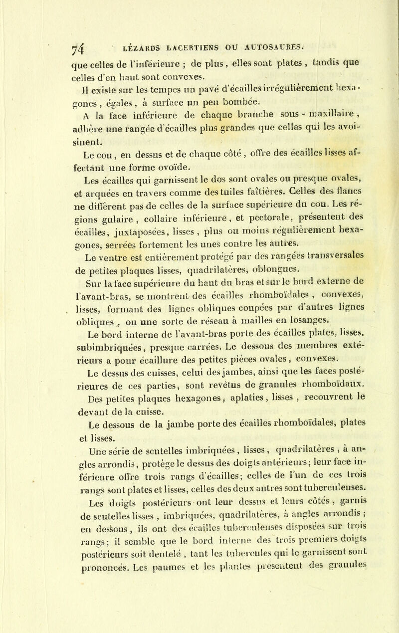 que celles de l’inférieure ; de plus , elles sont plates , tandis que celles d’en haut sont convexes. 11 existe sur les tempes un pavé d’écailles irrégulièrement hexa- gones , égales, à surface un peu bombée. A la face inférieure de chaque branche sous - maxillaire , adhère une rangée d’écaiïles plus grandes que celles qui les avoi- sinent. Le cou, en dessus et de chaque côté , offre des écailles lisses af- fectant une forme ovoïde. Les écailles qui garnissent le dos sont ovales ou presque ovales, et arquées en travers comme des tuiles faitieres. Celles des flancs ne diffèrent pas de celles de la surface supérieure du cou. Les ré- gions gulaire , collaire inférieure, et pectorale, présentent des écailles, juxtaposées, lisses , plus ou moins régulièrement hexa- gones, serrées fortement les unes contre les autres. Le ventre est entièrement protégé par des rangées transversales de petites plaques lisses, quadrilatères, oblongues. Sur la face supérieure du haut du bras et sur le bord externe de l’avant-bras, se montrent des écailles rhombo'ïdales , convexes, lisses, formant des lignes obliques coupées par d’autres lignes obliques ,, ou une sorte de réseau à mailles en losanges. Le bord interne de l’avant-bras porte des écailles plates, lisses, subimbriquées, presque carrées. Le dessous des membres exté- rieurs a pour écaillure des petites pièces ovales, convexes. Le dessus des cuisses, celui des jambes, ainsi que les faces posté- rieures de ces parties* sont revêtus de granules rhomboïdaux. Des petites plaques hexagones, aplaties, lisses , recouvrent le devant de la cuisse. Le dessous de la jambe porte des écailles rhomboïdales, plates et lisses. Une série de scutelles imbriquées , lisses , quadrilatères , à an- gles arrondis, protège le dessus des doigts antérieurs; leur face in- férieure offre trois rangs d’écailles; celles de 1 un de ces trois rangs sont plates et lisses, celles des deux autres sonttuberciiieuses. Les doigts postérieurs ont leur dessus et leurs cotés , garnis de scutelles lisses , imbriquées, quadrilatères, à angles arrondis ; en dessous , ils ont des écailles tuberculeuses disposées sur tiois rangs; il semble que le bord interne des trois premiers doigts postérieurs soit dentelé , tant les tubercules qui le garnissent sont prononcés. Les paumes et les plantes présentent des granules