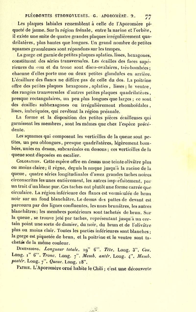 Les plaques labiales ressemblent à celle de l’Aporomère pi» quêté de jaune. Sur la région frênaie, entre la narine et l’orbile, il existe une suite de quatre grandes plaques irrégulièrement qua- drilatères, plus hautes que longues. Un grand nombre de petites squames granuleuses sont répandues sur les tempes. La gorge est garnie de petites plaques aplaties, lisses, hexagones, constituant des séries transversales. Les écailles des faces supé- rieures du cou et du tronc sont disco-ovalaires, très-bombées; chacune d’elles porte une ou deux petites glandules en arrière. L’écaillure des flancs ne diffère pas de celle du dos. La poitrine offre des petites plaques hexagones , aplaties , lisses ; le ventre , des rangées transversales d’autres petites plaques quadrilatères , presque rectangulaires, un peu plus longues que larges ; ce sont des écailles subhexagones ou irrégulièrement rhomboïdales, lisses, imbriquées, qui revêtent la région préanale. La forme et la disposition des petites pièces écailleuses qui garnissent les membres, sont les mêmes que chez l’espèce précé- dente. Les squames qui composent les verticilles de la queue sont pe- tites, un peu oblongues, presque quadrilatères, légèrement bom- bées, unies en dessus, subcarénées en dessous ; ces verticilles de la queue sont disposées en escalier. Coloration. Cette espèce offre en dessus une teinte olivâtre pins ou moins claire; il règne, depuis la nuque jusqu’à la racine de la queue, quatre séries longitudinales d’assez grandes taches noires circonscrites les unes entièrement, les autres imparfaitement, par un trait d’un blanc pur. Ces taches ont plutôt une forme carrée qne circulaire. La région inférieure des flancs est vermiculée de brun noir sur un fond blanchâtre. Le dessus des pattes de devant est parcouru par des lignes confluentes, les unes brunâtres, les autres blanchâtres ; les membres postérieurs sont tachetés de brun. Sur la queue , se trouve jeté par taches, représentant jusqu’à un cer- tain point une sorte de damier, du noir, du brun et de l’olivâtre plus ou moins clair. Toutes les parties inférieures sont blanches ; la gorge est piquetée de brun, et la poitrine et le ventre sont ta- chetés de la même couleur. Dimensions. Longueur totale. 29” 6 ”. Tête. Long. 3”. Cou. Long. 1 6 '. Tronc. Long. 7”. Memb. antér. Long. 4”. Memb. poster. Long. 7”. Queue. Long. 18”. Patrie. L Aporomère orné habite le Chili ; c’est une découverte
