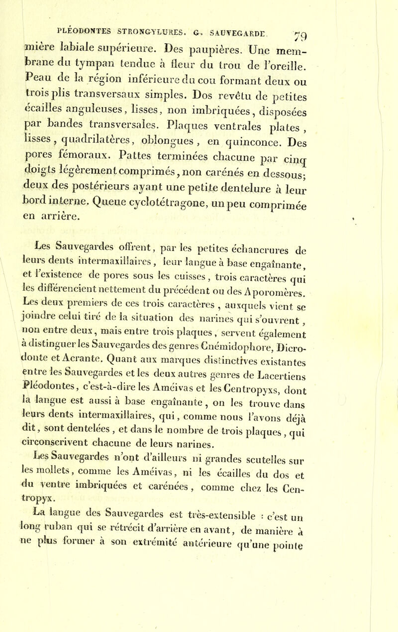miere labiale supérieure. Des paupières. Une mem- brane du tympan tendue à fleur du trou de l’oreille. Peau de la région inférieure du cou formant deux ou trois plis transversaux simples. Dos revêtu de petites écailles anguleuses, lisses, non imbriquées, disposées par bandes transversales. Plaques ventrales plates , lisses, quadrilatères, oblongues , en quinconce. Des pores fémoraux. Pattes terminées chacune par cinq doigts légèrement comprimés, non carénés en dessous; deux des postérieurs ayant une petite dentelure à leur bord interne. Queue cycîotétragone, un peu comprimée en arrière. Les Sauvegardes offrent, par les petites échancrures de leurs dents intermaxiiîaires , leur langue à base engainante, et 1 existence de pores sous les cuisses , trois caractères qui les différencient nettement du précédent ou des Aporomères. Les deux premiers de ces trois caractères , auxquels vient se joindre celui tire de la situation des narines qui s’ouvrent, non entre deux, mais entre trois plaques, servent également à distinguer les Sauvegardes des genres Cnémidophore, Dicro- donte et Acrante. Quant aux marques distinctives existantes entre les Sauvegardes et les deux autres genres de Lacertiens Méodontes, c’est-à-dire les Améivas et les Centropyxs, dont la langue est aussi à base engainante, on les trouve dans leurs dents intermaxillaires, qui, comme nous l’avons déjà dit, sont dentelées , et dans le nombre de trois plaques , qui circonscrivent chacune de leurs narines. Les Sauvegardes n’ont d’ailleurs ni grandes scutelles sur les mollets, comme les Améivas, ni les écailles du dos et du ventre imbriquées et carénées, comme chez les Gen- tropyx. La langue des Sauvegardes est très-extensible ; c’est un long ruban qui se rétrécit d’arrière en avant, de manière à ne plus former à son extrémité antérieure qu’une pointe