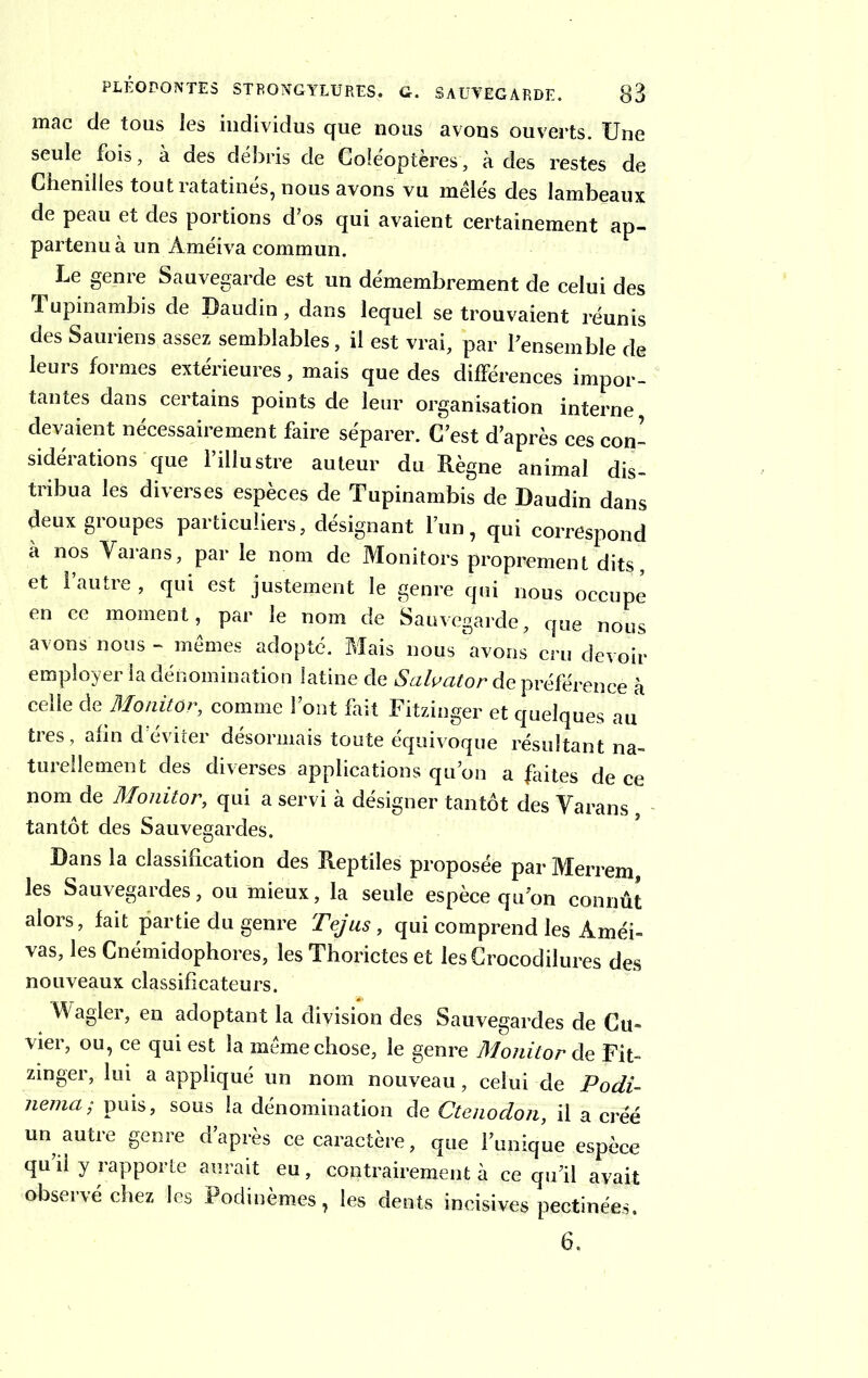 mac de tous les individus que nous avons ouverts. Une seule fois, à des débris de Coléoptères, à des restes de Chenilles tout ratatinés, nous avons vu mêlés des lambeaux de peau et des portions d’os qui avaient certainement ap- partenu à un Améiva commun. Le genre Sauvegarde est un démembrement de celui des Tupinambis de Daudin, dans lequel se trouvaient réunis des Sauriens assez semblables, il est vrai, par l’ensemble de leurs formes extérieures, mais que des différences impor- tantes dans certains points de leur organisation interne devaient nécessairement faire séparer. C’est d’après ces con- sidérations que l’illustre auteur du Règne animal dis- tribua les diverses espèces de Tupinambis de Daudin dans deux groupes particuliers, désignant l’un, qui correspond à nos Varans, par le nom de Monitors proprement dits, et 1 autre , qui est justement le genre qui nous occupe en ce moment, par le nom de Sauvegarde, que nous avons nous - mêmes adopté. Mais nous avons cru devoir employer la dénomination latine de Saly$t$r de préférence -h celle de Monitor, comme l’ont fait Fitzinger et quelques au ties, afin d éviter désormais toute équivoque résultant na- turellement des diverses applications qu’on a faites de ce nom de Monitor, qui a servi à désigner tantôt des Varans , tantôt des Sauvegardes. Dans la classification des Reptiles proposée par Merrem les Sauvegardes, ou mieux, la seule espèce qu’on connût alors, fait partie du genre Tejus, qui comprend les Améi- vas, les Cnémidophores, les Thorictes et lesCrocodilures des nouveaux classificateurs. Wagier, en adoptant la division des Sauvegardes de Cu» vier, ou, ce qui est la même chose, le genre Monitor de Fit- zinger, lui a appliqué un nom nouveau, celui de Podi- nema; puis, sous la dénomination de Ctenodon, il a créé un autre genre d’après ce caractère, que l’unique espèce qu’il y rapporte aurait eu, contrairement à ce qu’il avait observé chez les Podinèmes, les dents incisives pectinées. 6.