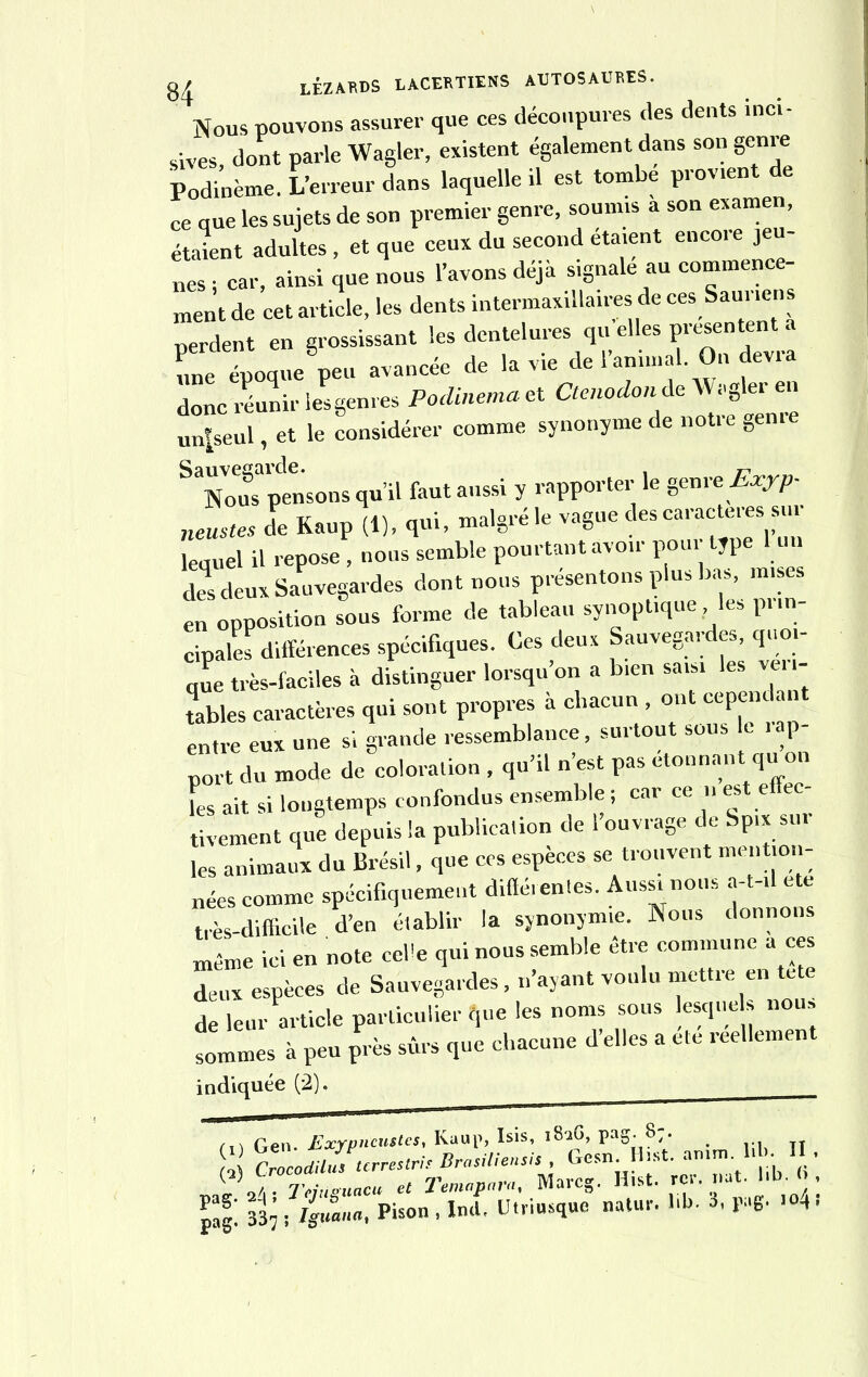 Nous pouvons assurer que ces découpures des dents inci- sives dont parle Wagler, existent également dans son genre Podinème. L’erreur dans laquelle il est tombe prov.ent de ce que les sujets de son premier genre, soumis a son examen, étaient adultes , et que ceux du second étaient encore jeu- nes ; car, ainsi que nous l’avons déjà signale au commence- ment de cet article, les dents intermaxillaires de ces Sauriens perdent en grossissant les dentelures qu elles présentent a une époque peu avancée de la vie de l’animal On devra donc réunir lesgenres Podinema et Ctenodon de Wagler en un|seul, et le considérer comme synonyme de notre geme ^N^us pensons qu’il faut aussi y rapporter le genre Exyp- neustes de Kaup (1), qui, malgré le vague des caractères sur lequel il repose , nous semble pourtant avoir poui type 1 des deux Sauvegardes dont nous présentons plus bas, mises en opposition sous forme de tableau synoptique les prin- cipales différences spécifiques. Ces deux Sauvegardes, quoi- que très-faciles à distinguer lorsqu on a bien saisi es vei tables caractères qui sont propres à chacun , ont entre eux une si grande ressemblance, surtout sous le . p port du mode décoloration , qu’il n’est pas étonnant qu on [es ait si longtemps confondus ensemble ; car ce est effec- tivement que depuis la publication de 1 ouvrage de Spix su les animaux du Brésil, que ces espèces se trouvent mention- nées comme spécifiquement différentes. Aussi nous a-t-il etc très-difficile d’en établir la synonymie. Nous donnons même ici en note ceüe qui nous semble être commune a ces deux espèces de Sauvegardes, n’ayant voulu mettre en tete de leur article particulier f,ue les noms sous lesquels nom sommes à peu près sûrs que chacune d’elles a ele reellemen indiquée (2). ... Gen. Pxypitcustcs, Kaup, Isis, i8aG, pag. 8,* _ CrocoUuZcrrestri, BrasWensis Gem Ibst. .mm Hb- I • y.,.. Triùguacu et Temapara, Marcg. Hist. rçi.iut. 1,b <* • IH t:-Iguana, Pison , Ind. Ut,h»,». natur. l.b. i, P»6- >»4<