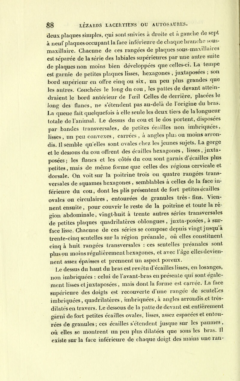 deux plaques simples, qui sont suivies à droite et à gauche de sept à neuf plaques occupant la face inférieure de chaque branche sous- maxillaire. Chacune de ces rangées de plaques sous-maxillaires est séparée de la série des labiales supérieures par une autre suite de plaques non moins bien développées que celles-ci. La tempe est garnie de petites plaques lisses, hexagones , juxtaposées , son bord supérieur en offre cinq ou six, un peu plus grandes que les autres. Couchées le long du cou , les pattes de devant attein- draient le bord antérieur de l’œil Celles de derrière, placées le long des flancs, ne s’étendent pas au-delà de l’origine du bras. La queue fait quelquefois à elle seule les deux tiers de la longueur totale de l’animal. Le dessus du cou et le dos portent, disposées par bandes transversales, de petites écailles non imbriquées, lisses , un peu convexes , carrées , à angles pim ou moins arron- dis. Il semble quelles sont ovales chez les jeunes sujets. La gorge et le dessous du cou offrent des écailles hexagones , lisses , juxta- posées ; les flancs et les côtés du cou sont garnis d écaillés plus petites, mais de même forme que celles des régions cervicale et dorsale. On voit sur la poitrine trois ou quatre rangées trans- versales de squames hexagones , semblables à celles de la face in- férieure du cou, dont les plis présentent de fort petites écailles ovales ou circulaires , entourées de granules très - fins. Vien- nent ensuite , pour couvrir le reste de la poitrine et toute la ré- gion abdominale, vingt-huit à trente autres séries transversales de petites plaques quadrilatères oblongues , juxta-posées, à sur- face lisse. Chacune de ces séries se compose depuis vingt jusqu à trente-cinq scutelles sur la région préanale, où elles constituent cinq à huit rangées transversales : ces scutelles préanales sont plus ou moins régulièrement hexagones, et avec l’àge elles devien- nent assez épaisses et prennent un aspect poreux. Le dessus du haut du bras est revêtu d’écailles lisses, en losanges, non imbriquées : celui de l’avant-bras en présente qui sont égale- ment lisses et juxtaposées, mais dont la forme est carrée. La face supérieure des doigts est recouverte d’une rangée de scutelles imbriquées, quadrilatères , imbriquées, à angles arrondis et très- dilatés en travers. Le dessous de la patte de devant est entièrement garni de fort petites écailles ovales, lisses, assez espacées et entou- rées de granules ; ces écailles s’étendent jusque sur les paumes , où elles se montrent un peu plus dilatées que sous les bras. Il existe sur la face inférieure de chaque doigt des mains une ran-