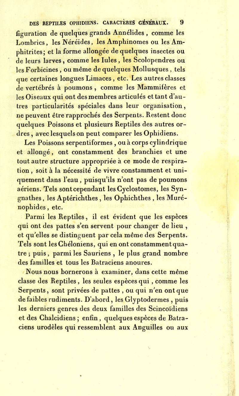 figuration de quelques grands Annélides , comme les Lombrics, les Néréides, les Amphinomes ou les Am- phitrites; et la forme allongée de quelques insectes ou de leurs larves, comme les Iules , les Scolopendres ou les Forbicines , ou même de quelques Mollusques , tels que certaines longues Limaces , etc. Les autres classes de vertébrés à poumons , comme les Mammifères et les Oiseaux qui ont des membres articulés et tant d au- tres particularités spéciales dans leur organisation, ne peuvent être rapprochés des Serpents. Restent donc quelques Poissons et plusieurs Reptiles des autres or- dres , avec lesquels on peut comparer les Ophidiens. Les Poissons serpentiformes , ou à corps cylindrique et allongé, ont constamment des branchies et une tout autre structure appropriée à ce mode de respira- tion , soit à la nécessité de vivre constamment et uni- quement dans beau, puisqu’ils n’ont pas de poumons aériens. Tels sontcependant lesCyclostomes, les Syn- gnathes , les Aptérichthes , les Ophichthes , les Muré- nophides, etc. Parmi les Reptiles, il est évident que les espèces qui ont des pattes s’en servent pour changer de lieu , et qu’elles se distinguent par cela même des Serpents. Tels sont lesGhéloniens, qui en ont constamment qua- tre ; puis, parmi les Sauriens , le plus grand nombre des familles et tous les Batraciens anoures. Nous nous bornerons à examiner, dans cette même classe des Reptiles, les seules espèces qui , comme les Serpents, sont privées de pattes , ou qui n’en ont que de faibles rudiments. D’abord, les Glyptodermes , puis les derniers genres des deux familles des Scincoïdiens et des Ghalcidiens ; enfin, quelques espèces de Batra- ciens urodèles qui ressemblent aux Anguilles ou aux v
