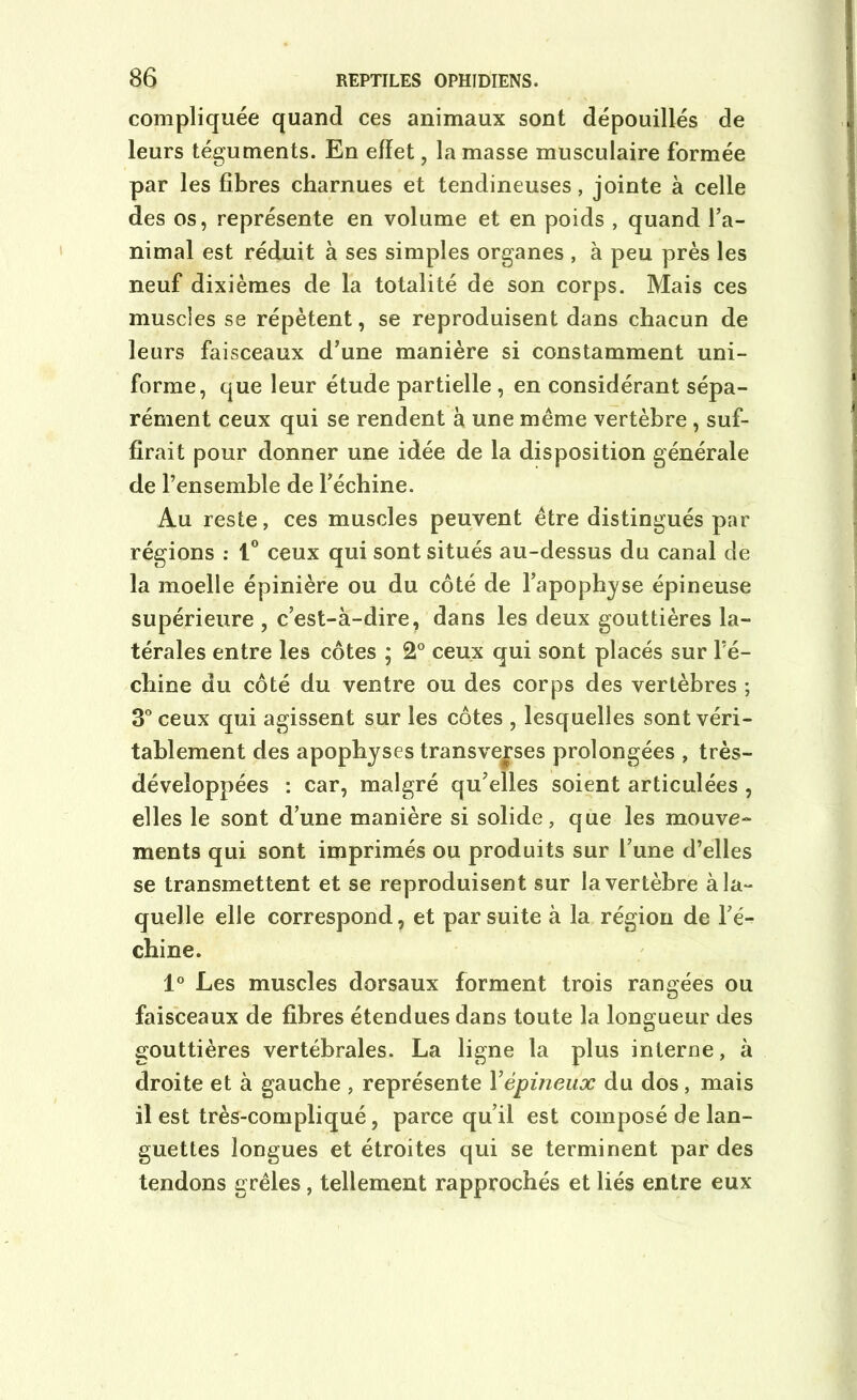 compliquée quand ces animaux sont dépouillés de leurs téguments. En effet, la masse musculaire formée par les fibres charnues et tendineuses, jointe à celle des os, représente en volume et en poids , quand l’a- nimal est réduit à ses simples organes , à peu près les neuf dixièmes de la totalité de son corps. Mais ces muscles se répètent, se reproduisent dans chacun de leurs faisceaux d’une manière si constamment uni- forme, que leur étude partielle , en considérant sépa- rément ceux qui se rendent à une même vertèbre , suf- firait pour donner une idée de la disposition générale de l’ensemble de l’échine. Au reste, ces muscles peuvent être distingués par régions : 1° ceux qui sont situés au-dessus du canal de la moelle épinière ou du côté de l’apophyse épineuse supérieure , c’est-à-dire, dans les deux gouttières la- térales entre les côtes ; 2° ceux qui sont placés sur l’é- chine du côté du ventre ou des corps des vertèbres ; 3° ceux qui agissent sur les côtes , lesquelles sont véri- tablement des apophyses transverses prolongées , très- développées : car, malgré qu’elles soient articulées , elles le sont d’une manière si solide, que les mouve- ments qui sont imprimés ou produits sur l’une d’elles se transmettent et se reproduisent sur la vertèbre à la- quelle elle correspond, et par suite à la région de l’é- chine. 1° Les muscles dorsaux forment trois rangées ou faisceaux de fibres étendues dans toute la longueur des gouttières vertébrales. La ligne la plus interne, à droite et à gauche , représente Y épineux du dos, mais il est très-compliqué, parce qu’il est composé de lan- guettes longues et étroites qui se terminent par des tendons grêles, tellement rapprochés et liés entre eux