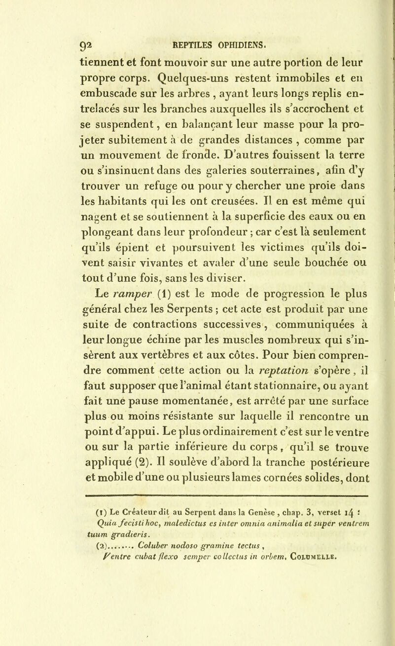 tiennent et font mouvoir sur une autre portion de leur propre corps. Quelques-uns restent immobiles et en embuscade sur les arbres , ayant leurs longs replis en- trelacés sur les branches auxquelles ils s'accrochent et se suspendent, en balançant leur masse pour la pro- jeter subitement à de grandes distances , comme par un mouvement de fronde. D'autres fouissent la terre ou s'insinuent dans des galeries souterraines, afin d’y trouver un refuge ou pour y chercher une proie dans les habitants qui les ont creusées. Il en est même qui nagent et se soutiennent à la superficie des eaux ou en plongeant dans leur profondeur ; car c’est là seulement qu’ils épient et poursuivent les victimes qu’ils doi- vent saisir vivantes et avaler d’une seule bouchée ou tout d'une fois, sans les diviser. Le ramper (1) est le mode de progression le plus général chez les Serpents ; cet acte est produit par une suite de contractions successives , communiquées à leur longue échine par les muscles nombreux qui s'in- sèrent aux vertèbres et aux côtes. Pour bien compren- dre comment cette action ou la reptation s’opère, il faut supposer que l’animal étant stationnaire, ou ayant fait une pause momentanée, est arrêté par une surface plus ou moins résistante sur laquelle il rencontre un point d'appui. Le plus ordinairement c’est sur le ventre ou sur la partie inférieure du corps, qu'il se trouve appliqué (2). Il soulève d’abord la tranche postérieure et mobile d’une ou plusieurs lames cornées solides, dont (! ) Le Créateur dit au Serpent dans la Genèse , chap. 3, verset 14 î Quia fecisti hoc, maledictus es inter omnia animalia et super ventrem tuum gradieris. (2) Coluher nodoso gramine tectus , Rentre cubât flexo semper collectus in orbem, Golümelle.