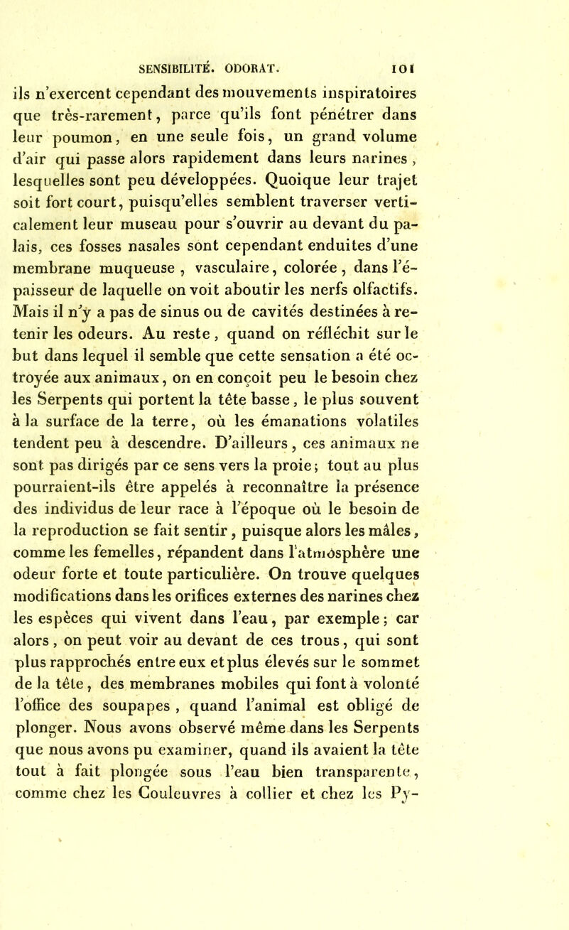 SENSIBILITÉ. ODORAT. IOI ils n’exercent cependant des mouvements inspiratoires que très-rarement, parce qu’ils font pénétrer dans leur poumon, en une seule fois, un grand volume d’air qui passe alors rapidement dans leurs narines, lesquelles sont peu développées. Quoique leur trajet soit fort court, puisqu’elles semblent traverser verti- calement leur museau pour s’ouvrir au devant du pa- lais, ces fosses nasales sont cependant enduites d’une membrane muqueuse, vasculaire, colorée, dans l’é- paisseur de laquelle on voit aboutir les nerfs olfactifs. Mais il n’y a pas de sinus ou de cavités destinées à re- tenir les odeurs. Au reste , quand on réfléchit sur le but dans lequel il semble que cette sensation a été oc- troyée aux animaux, on en conçoit peu le besoin chez les Serpents qui portent la tête basse, le plus souvent à la surface de la terre, où les émanations volatiles tendent peu à descendre. D’ailleurs, ces animaux ne sont, pas dirigés par ce sens vers la proie ; tout au plus pourraient-ils être appelés à reconnaître la présence des individus de leur race à l’époque où le besoin de la reproduction se fait sentir, puisque alors les mâles, comme les femelles, répandent dans fatmOsphère une odeur forte et toute particulière. On trouve quelques modifications dans les orifices externes des narines chez les espèces qui vivent dans l’eau, par exemple; car alors, on peut voir au devant de ces trous, qui sont plus rapprochés entre eux et plus élevés sur le sommet de la tête , des membranes mobiles qui font à volonté l’office des soupapes , quand l’animal est obligé de plonger. Nous avons observé même dans les Serpents que nous avons pu examiner, quand ils avaient la tête tout à fait plongée sous l’eau bien transparente, comme chez les Couleuvres à collier et chez les Py-