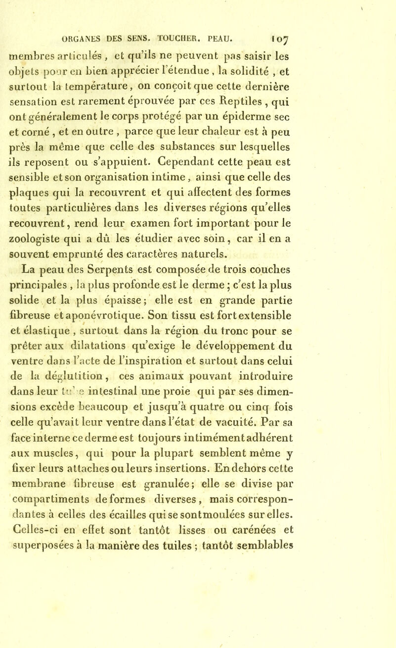 membres articulés , et qu’ils ne peuvent pas saisir les objets pour en bien apprécier l’étendue , la solidité , et surtout la température, on conçoit que cette dernière sensation est rarement éprouvée par ces Reptiles , qui ont généralement le corps protégé par un épiderme sec et corné , et en outre , parce que leur chaleur est à peu près la même que celle des substances sur lesquelles ils reposent ou s’appuient. Cependant cette peau est sensible et son organisation intime, ainsi que celle des plaques qui la recouvrent et qui affectent des formes toutes particulières dans les diverses régions qu’elles recouvrent, rend leur examen fort important pour le zoologiste qui a dû les étudier avec soin, car il en a souvent emprunté des caractères naturels. La peau des Serpents est composée de trois couches principales , la plus profonde est le derme ; c’est la plus solide et la plus épaisse; elle est en grande partie fibreuse et aponévrotique. Son tissu est fort extensible et élastique , surtout dans la région du tronc pour se prêter aux dilatations qu’exige le développement du ventre dans l’acte de l’inspiration et surtout dans celui de la déglutition, ces animaux pouvant introduire dans leur tube intestinal une proie qui par ses dimen- sions excède beaucoup et jusqu’à quatre ou cinq fois celle qu’avait leur ventre dans l’état de vacuité. Par sa face interne ce derme est toujours intimément adhérent aux muscles, qui pour la plupart semblent même y fixer leurs attaches ou leurs insertions. En dehors cette membrane fibreuse est granulée; elle se divise par compartiments déformés diverses, mais correspon- dantes à celles des écailles qui se sontmoulées sur elles. Celles-ci en effet sont tantôt lisses ou carénées et superposées à la manière des tuiles ; tantôt semblables