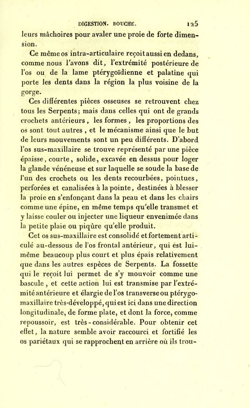 leurs mâchoires pour avaler une proie de forte dimen- sion. Ce même os intra-articulaire reçoitaussien dedans, comme nous l'avons dit, l'extrémité postérieure de l’os ou de la lame ptérygoïdienne et palatine qui porte les dents dans la région la plus voisine de la gorge. Ces différentes pièces osseuses se retrouvent chez tous les Serpents; mais dans celles qui ont de grands crochets antérieurs , les formes , les proportions des os sont tout autres , et le mécanisme ainsi que le but de leurs mouvements sont un peu différents. D’abord l’os sus-maxillaire se trouve représenté par une pièce épaisse, courte, solide, excavée en dessus pour loger la glande vénéneuse et sur laquelle se soude la base de l’un des crochets ou les dents recourbées, pointues, perforées et canalisées à la pointe, destinées à blesser la proie en s’enfonçant dans la peau et dans les chairs comme une épine, en même temps qu'elle transmet et y laisse couler ou injecter une liqueur envenimée dans la petite plaie ou piqûre qu'elle produit. Cet os sus-maxillaire est consolidé et fortement arti- culé au-dessous de l’os frontal antérieur, qui est lui- même beaucoup plus court et plus épais relativement que dans les autres espèces de Serpents. La fossette qui le reçoit lui permet de s'y mouvoir comme une bascule , et cette action lui est transmise par l'extré- mité antérieure et élargie del’os transverse ou ptéry go- maxillaire très-développé, qui est ici dans une direction longitudinale, de forme plate, et dont la force, comme repoussoir, est très - considérable. Pour obtenir cet effet, la nature semble avoir raccourci et fortifié les os pariétaux qui se rapprochent en arrière où ils trou-