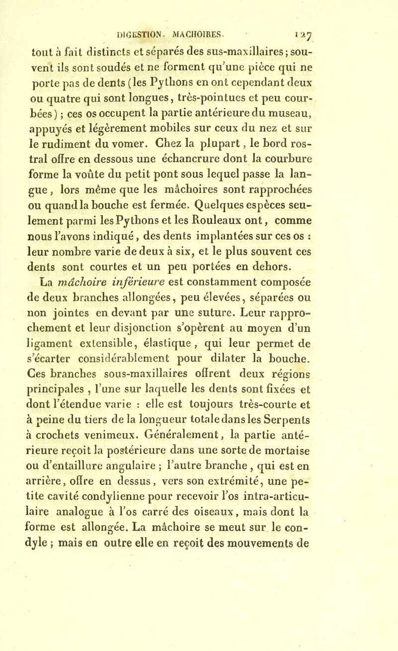 DIGESTION. MACHOIRES. I 2y tout à fait distincts et séparés des sus-maxillaires ; sou- vent ils sont soudés et ne forment qu'une pièce qui ne porte pas de dents (les Pythons en ont cependant deux ou quatre qui sont longues, très-pointues et peu cour- bées) ; ces os occupent la partie antérieure du museau, appuyés et légèrement mobiles sur ceux du nez et sur le rudiment du vomer. Chez la plupart, le bord ros- tral offre en dessous une échancrure dont la courbure forme la voûte du petit pont sous lequel passe la lan- gue , lors même que les mâchoires sont rapprochées ou quand la bouche est fermée. Quelques espèces seu- lement parmi les Pythons et les Rouleaux ont, comme nous l’avons indiqué, des dents implantées sur ces os s leur nombre varie de deux à six, et le plus souvent ces dents sont courtes et un peu portées en dehors. La mâchoire inférieure est constamment composée de deux branches allongées, peu élevées, séparées ou non jointes en devant par une suture. Leur rappro- chement et leur disjonction s’opèrent au moyen d’un ligament extensible, élastique, qui leur permet de s’écarter considérablement pour dilater la bouche. Ces branches sous-maxillaires offrent deux régions principales , l’une sur laquelle les dents sont fixées et dont l’étendue varie : elle est toujours très-courte et à peine du tiers de la longueur totale dans les Serpents à crochets venimeux. Généralement, la partie anté- rieure reçoit la postérieure dans une sorte de mortaise ou d’entaillure angulaire ; l’autre branche , qui est en arrière, offre en dessus, vers son extrémité, une pe- tite cavité condylienne pour recevoir l’os intra-articu- laire analogue à Fos carré des oiseaux, mais dont la forme est allongée. La mâchoire se meut sur le con- dyle ; mais en outre elle en reçoit des mouvements de