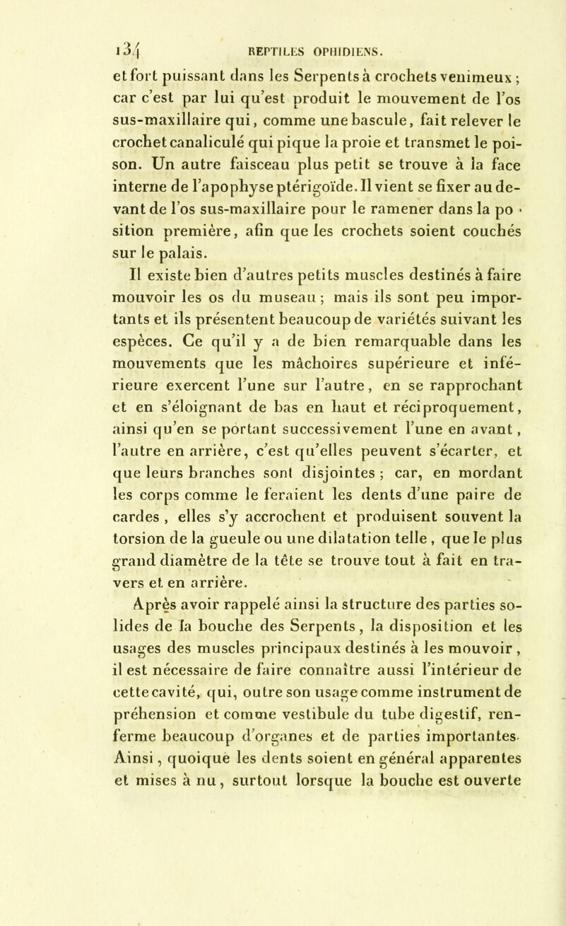 et fort puissant clans les Serpents à crochets venimeux ; car c’est par lui qu’est produit le mouvement de l’os sus-maxillaire qui, comme une bascule, fait relever le crochet canaliculé qui pique la proie et transmet le poi- son. Un autre faisceau plus petit se trouve à la face interne de l’apophyse ptérigoïde. Il vient se fixer au de- vant de l’os sus-maxillaire pour le ramener dans la po • sition première, afin que les crochets soient couchés sur le palais. Il existe bien d’autres petits muscles destinés à faire mouvoir les os du museau; mais ils sont peu impor- tants et ils présentent beaucoup de variétés suivant les espèces. Ce qu’il y a de bien remarquable dans les mouvements que les mâchoires supérieure et infé- rieure exercent l’une sur l’autre, en se rapprochant et en s’éloignant de bas en haut et réciproquement, ainsi qu’en se portant successivement l’une en avant, l’autre en arrière, c’est qu’elles peuvent s’écarter, et que leurs branches sont disjointes ; car, en mordant les corps comme le feraient les dents d’une paire de cardes , elles s’y accrochent et produisent souvent la torsion de la gueule ou une dilatation telle , que le plus grand diamètre de la tête se trouve tout à fait en tra- vers et en arrière. Après avoir rappelé ainsi la structure des parties so- lides de la bouche des Serpents, la disposition et les usages des muscles principaux destinés à les mouvoir , il est nécessaire de faire connaître aussi l’intérieur de cette cavité, qui, outre son usage comme instrument de préhension et comme vestibule du tube digestif, ren- ferme beaucoup d’organes et de parties importantes- Ainsi, quoique les dents soient en général apparentes et mises à nu, surtout lorsque la bouche est ouverte